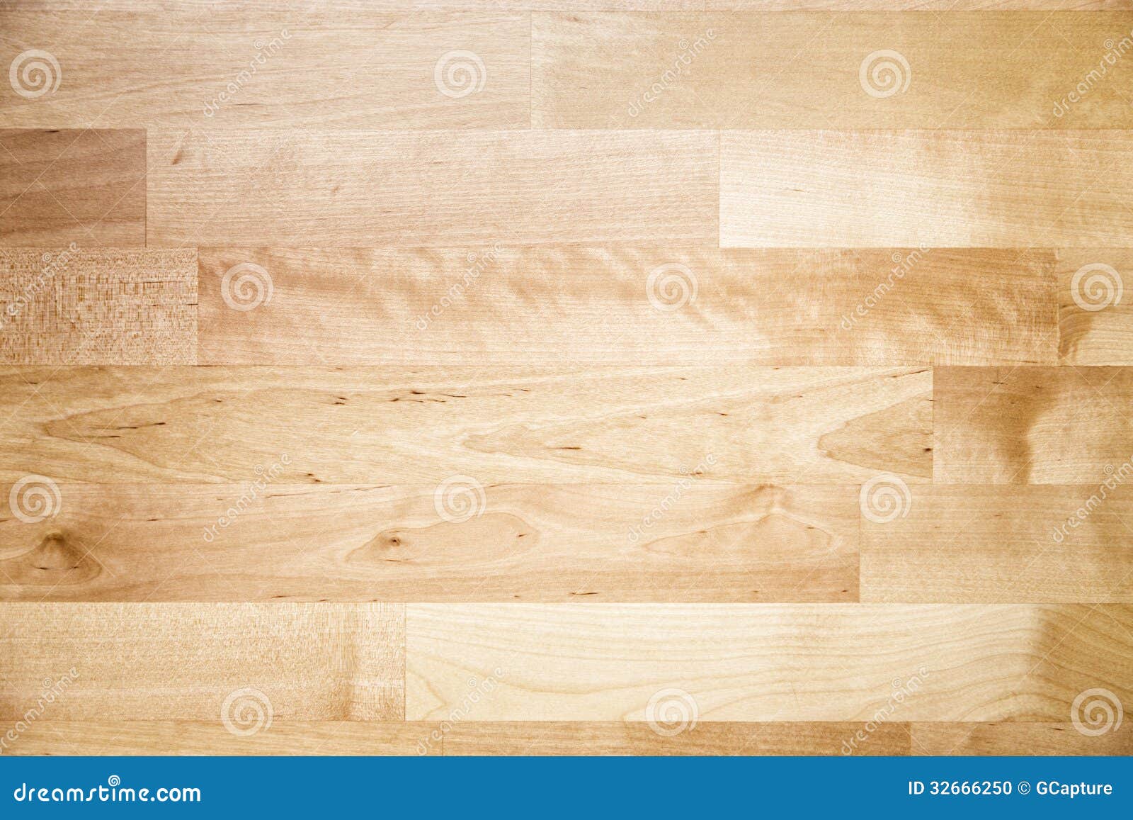birch plank texture stock photo image 32666250 birch plank texture stock photo image 32666250