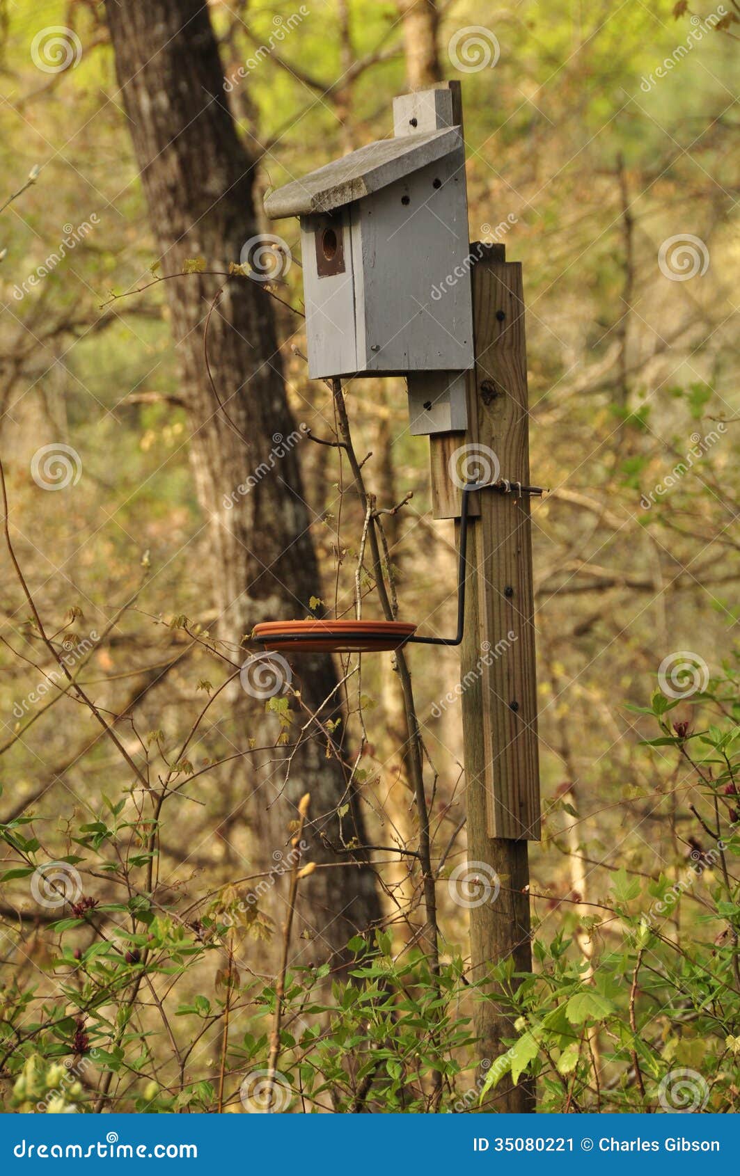 Apartment House Bird Feeder