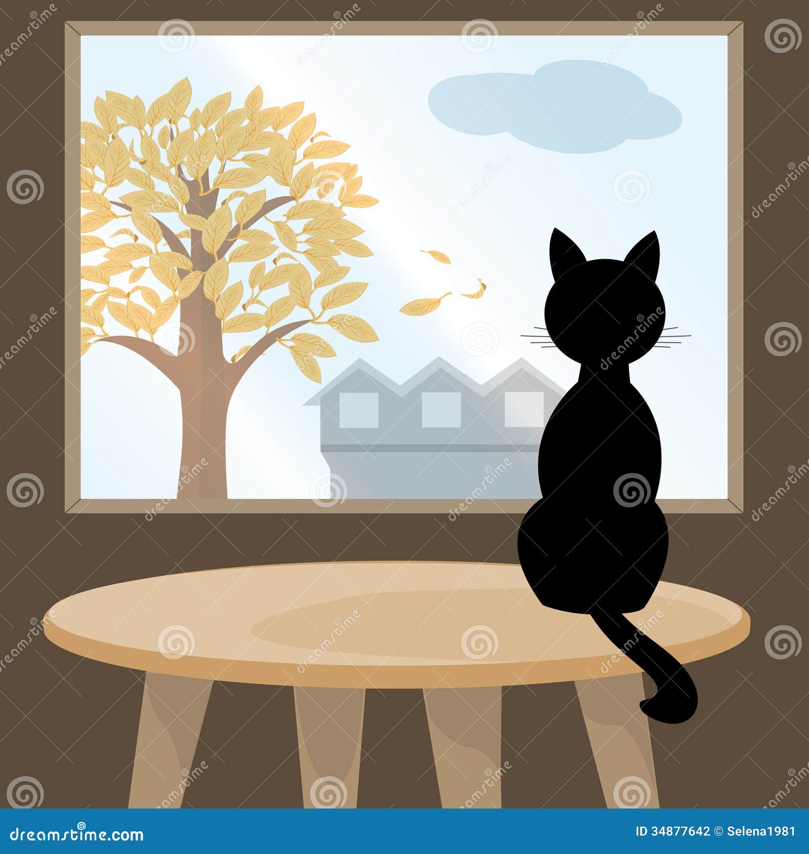White Cat On Glass Table White Cat On Glass Table