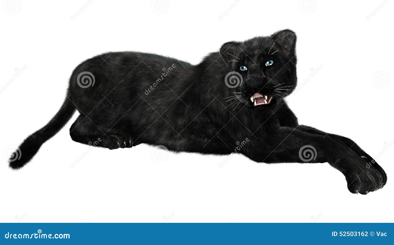 Black Panther Stock Illustration Image 52503162