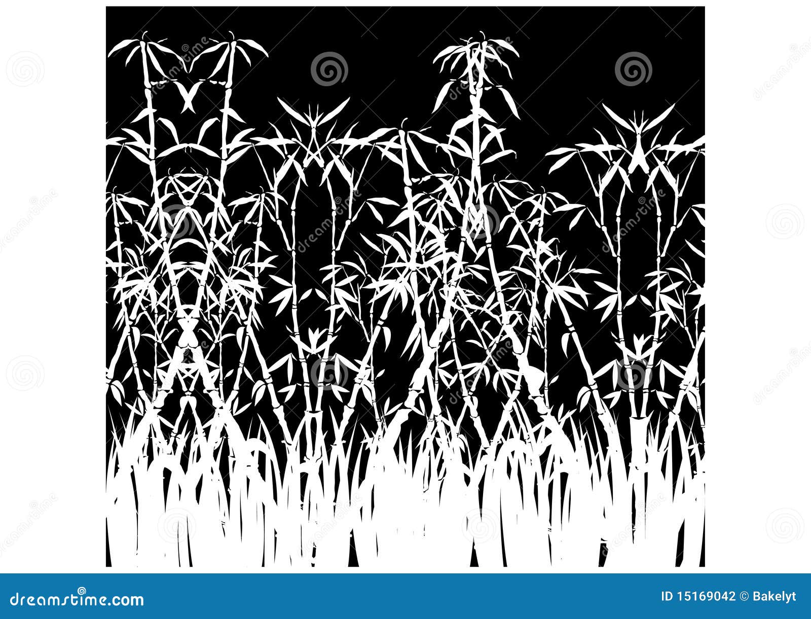 Black And White Bamboo Stock Photography Image 15169042