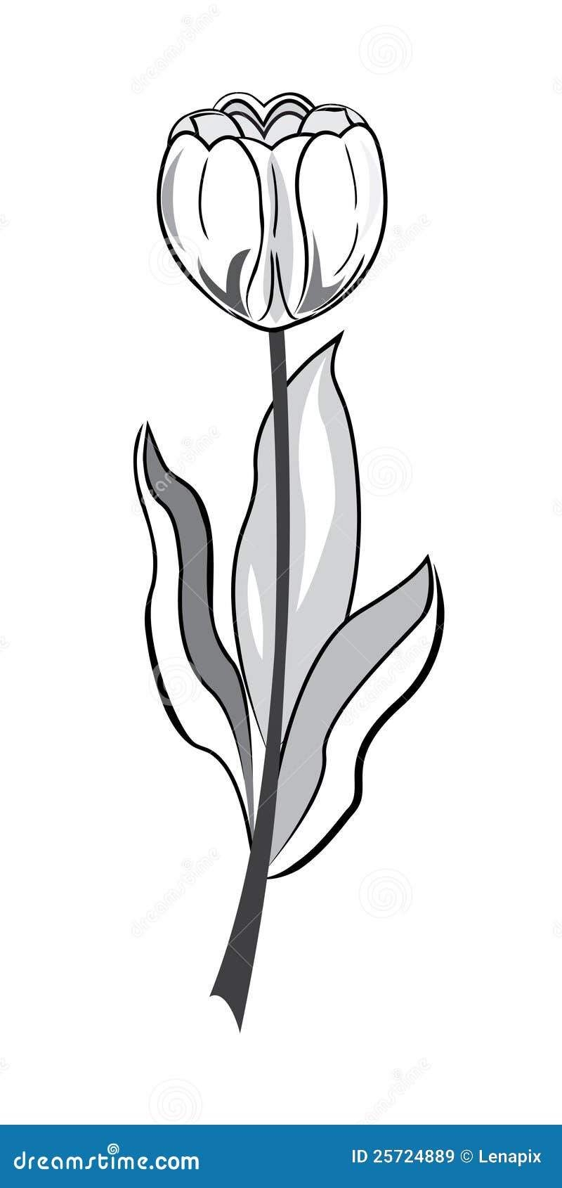 tulip clip art free black and white - photo #26