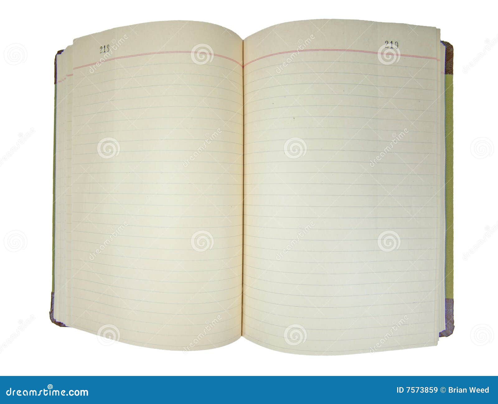 blank journal book opened and isolated on white. blank journal book opened and isolated on white.
