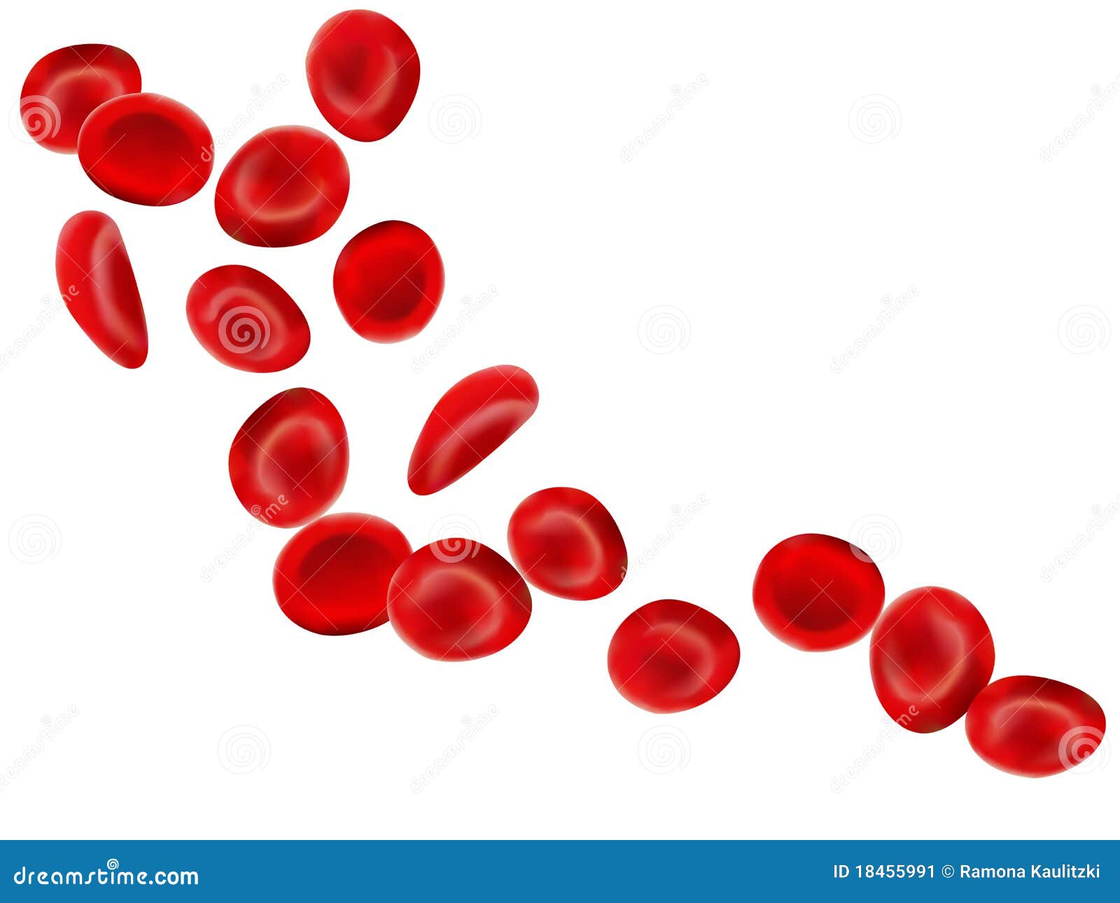 free clipart blood cells - photo #23
