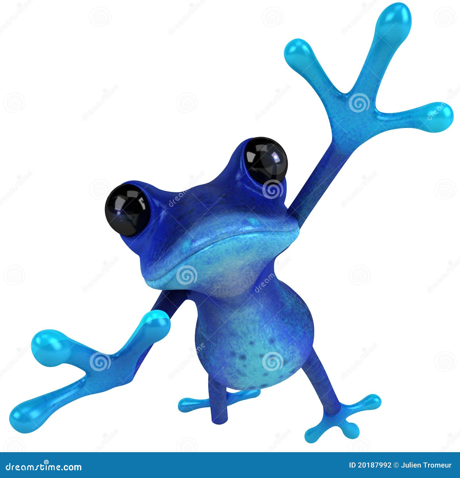 Blue Frog Stock Photography - Image: 20187992