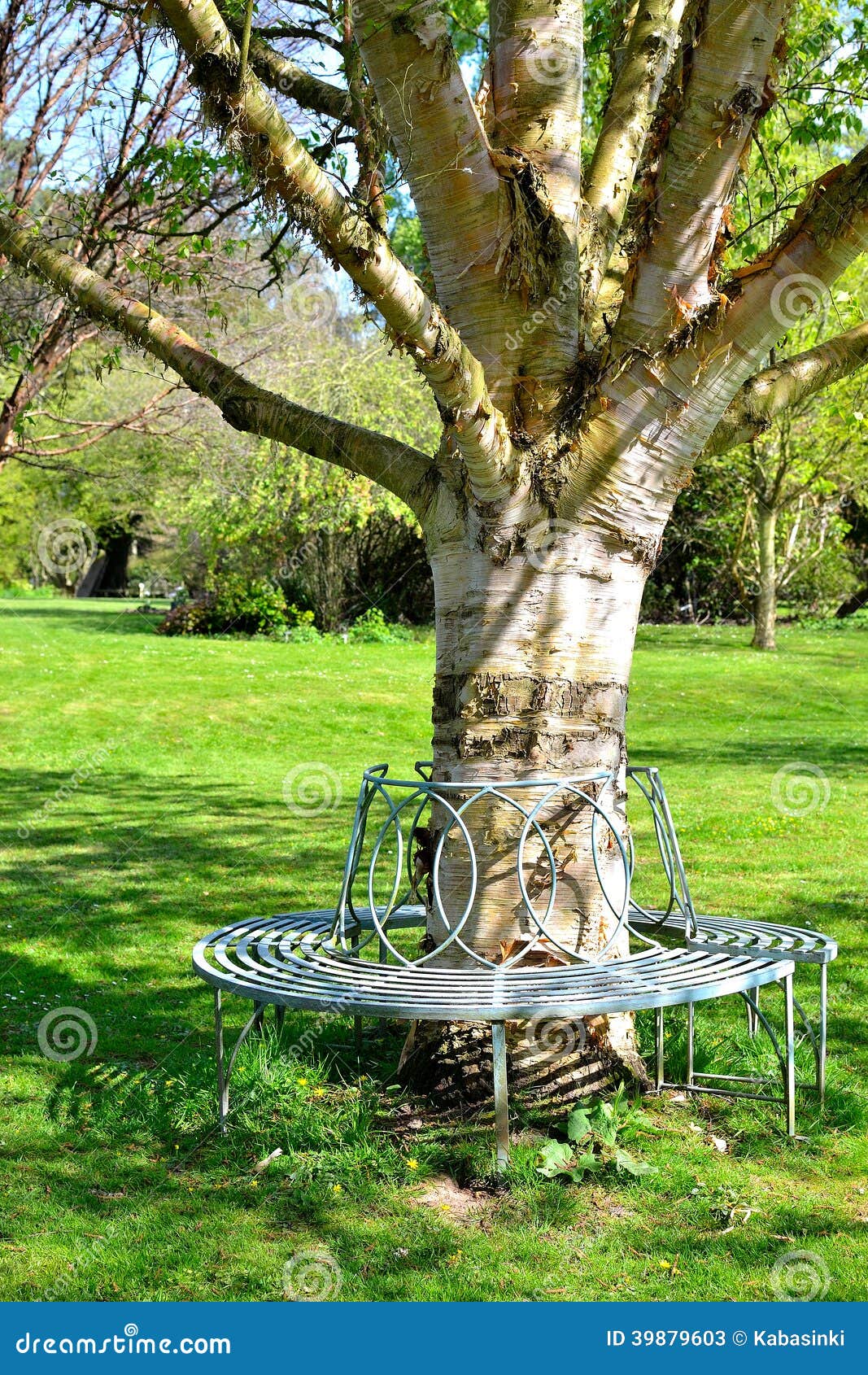 Metal Bench around Tree