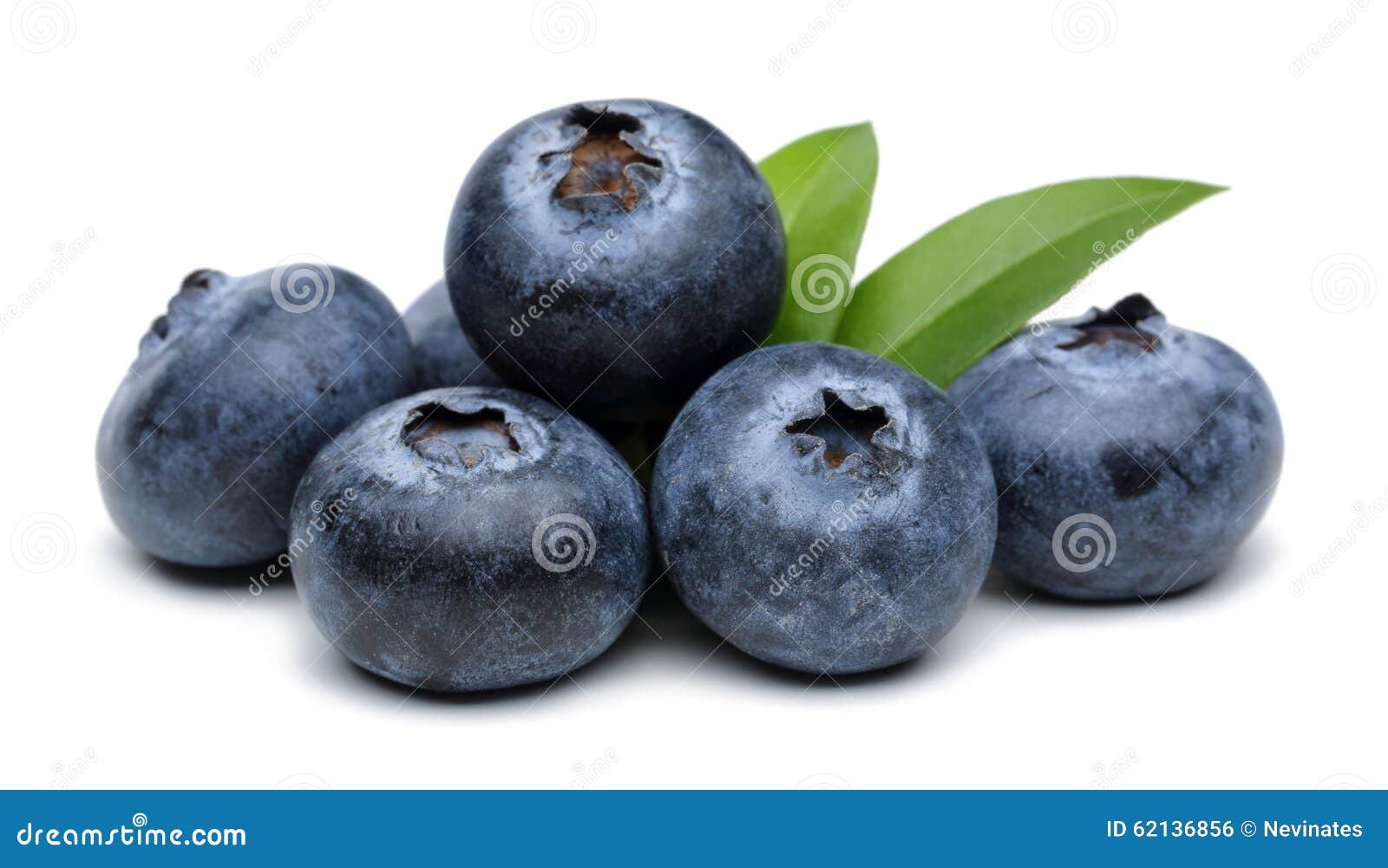 Blueberries in a wooden bowl isolated on white background
