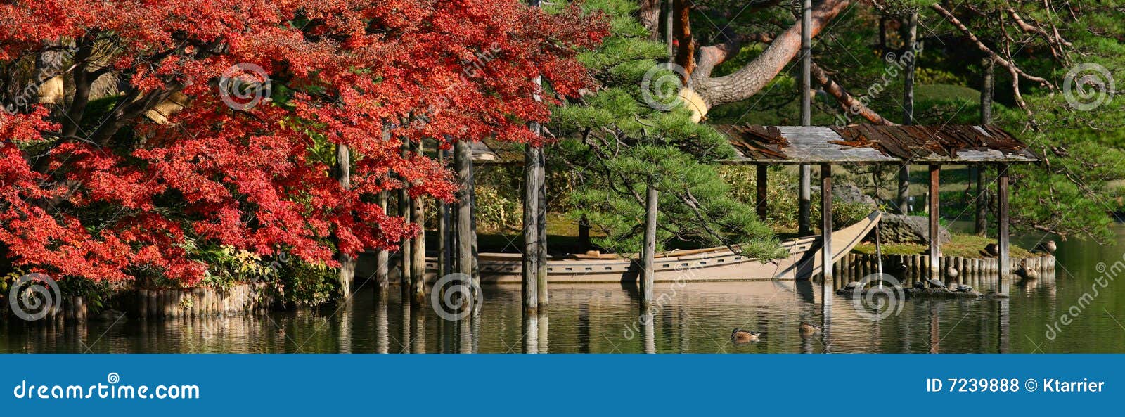 Boat shed in the garden at fall