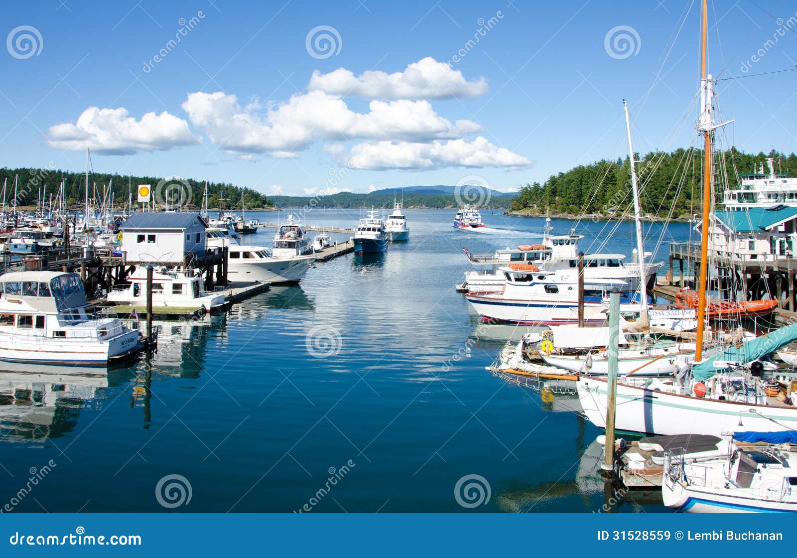 Boats Moored At Marina In Friday Harbor Editorial Stock Image - Image ...