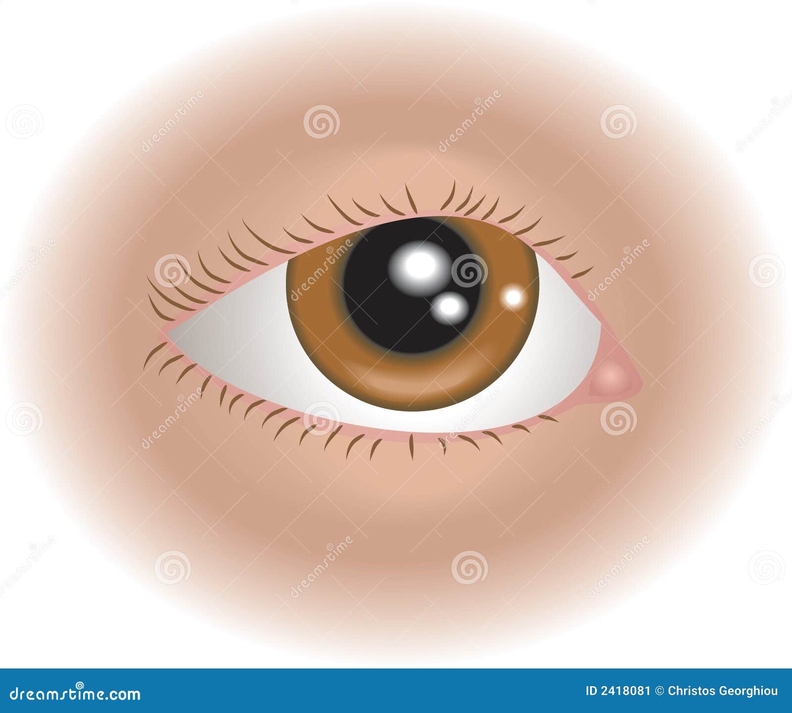 what part of the body system is the eyes