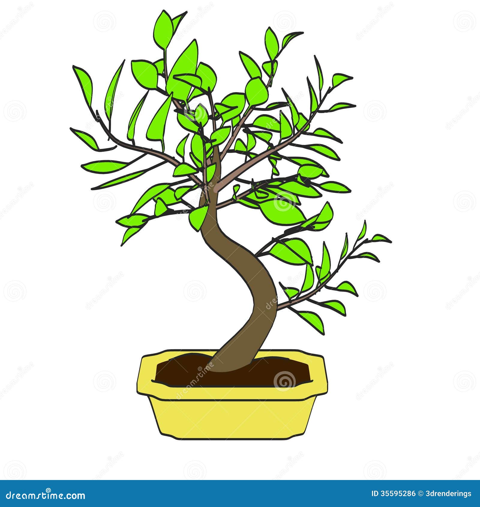 bonsai tree clipart - photo #50