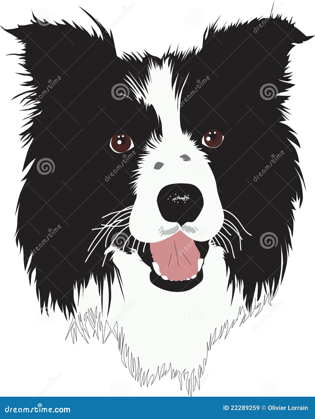 clip art border collie - photo #17