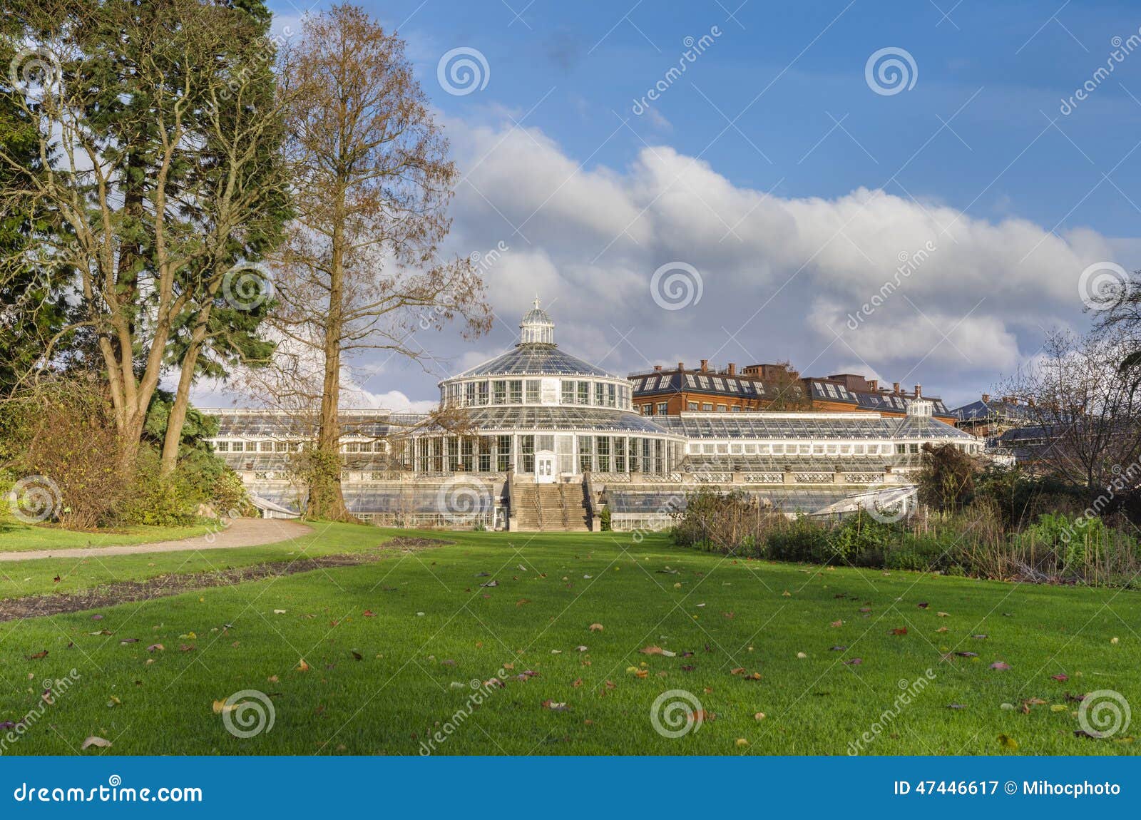 botanische tuin kopenhagen botanische tuin in kopenhagen stock foto beeld 47446617 botanische tuin kopenhagen botanische tuin in kopenhagen stock foto beeld 47446617