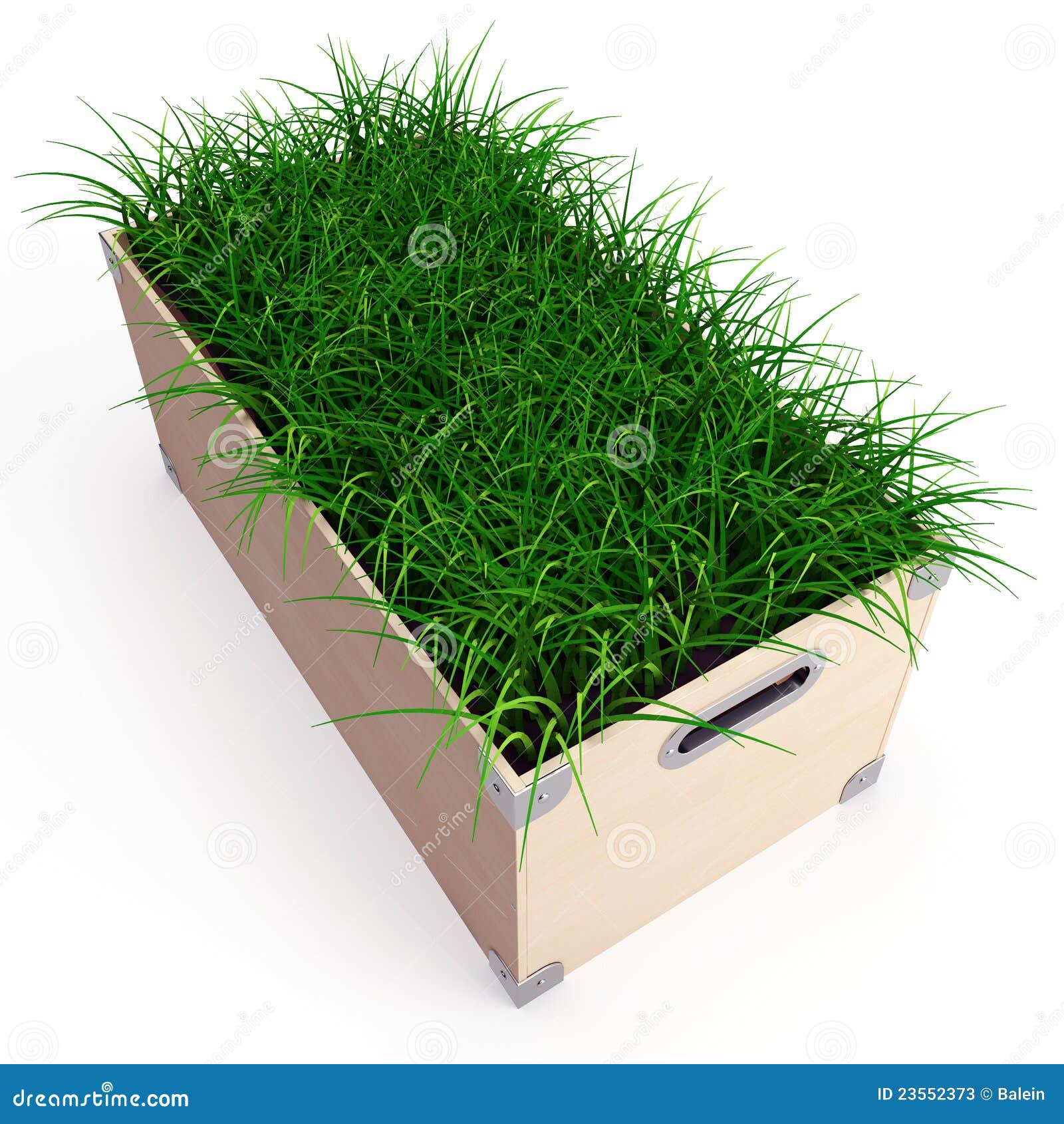 Box With Grass Stock Photos Image 23552373
