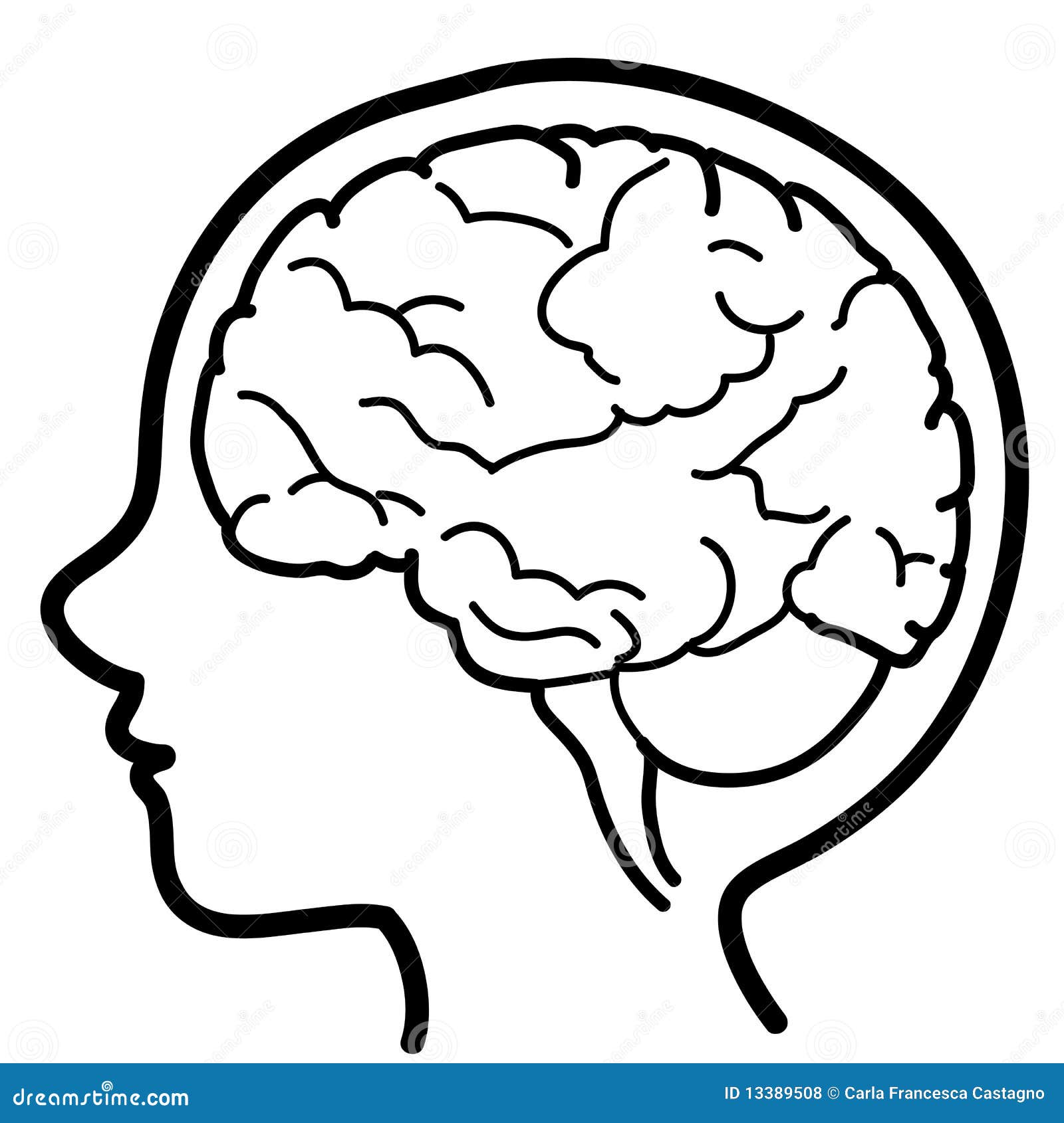 download the subthalamic nucleus part i development cytology topography and connections