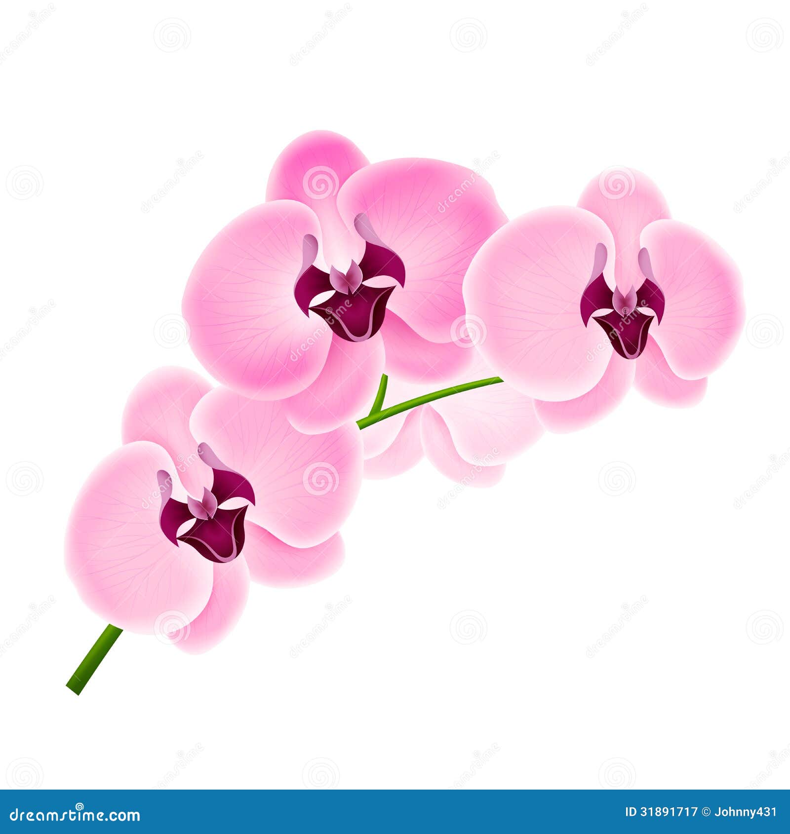 Blue Orchid Vector