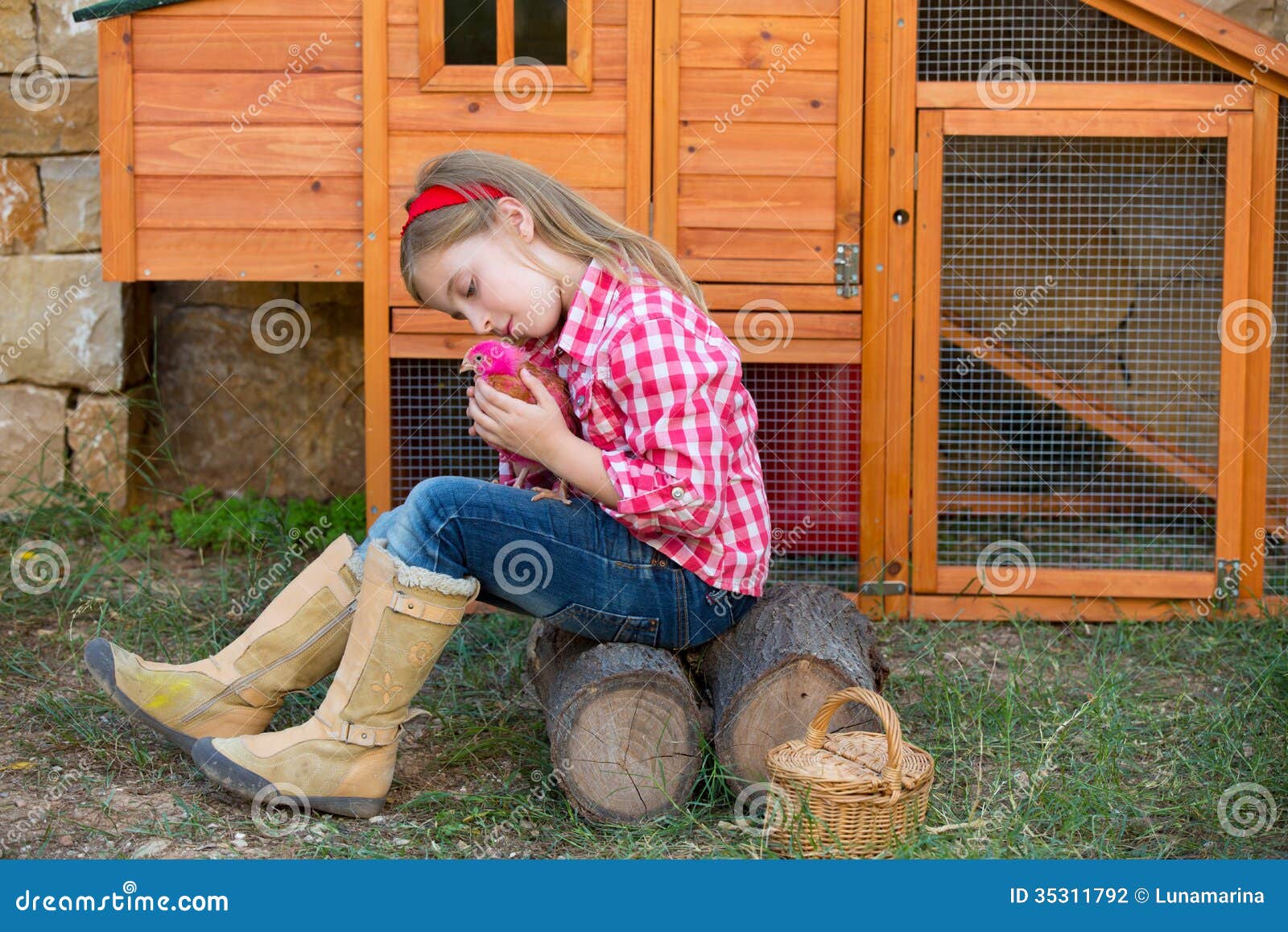 ... Farmer With Chicks In Chicken Coop Stock Photography - Image: 35311792