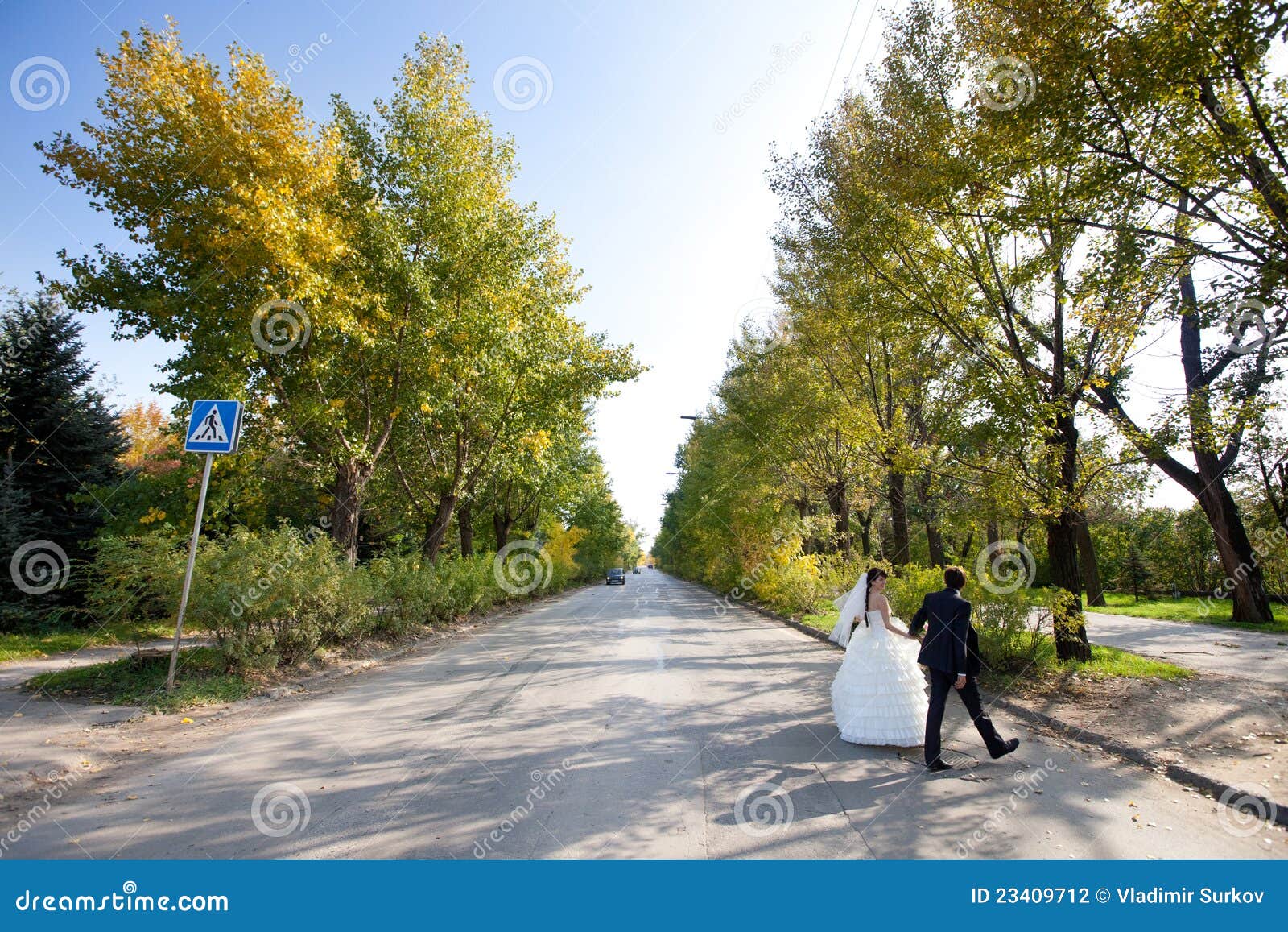 The Bride Road From 119