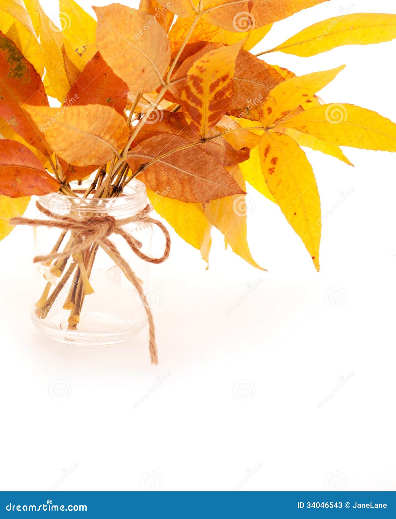Bouquet Of Bright Autumn Leaves Bright Autumn Leaves Bouquet Stock Photos Image 34046543