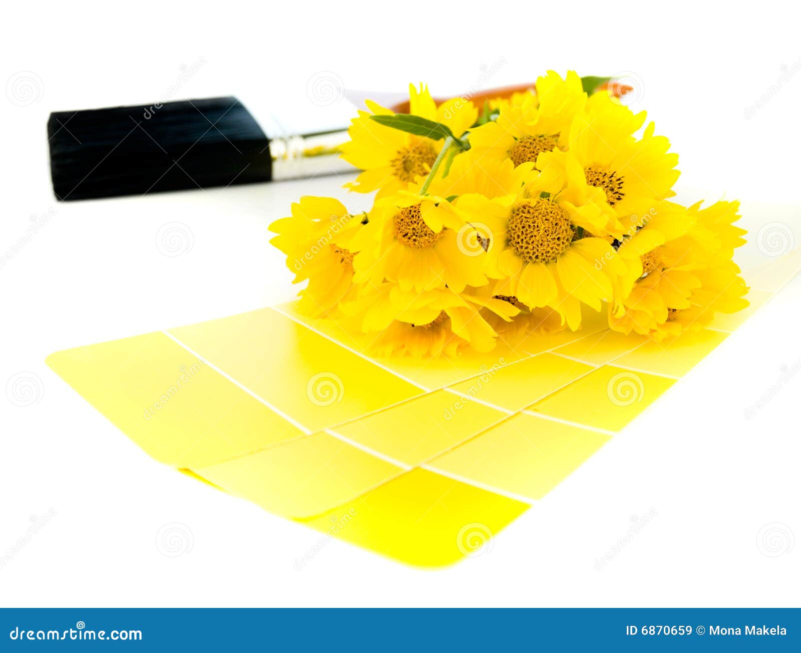 Bright Yellow Paint Plan Royalty Free Stock Images Image 6870659