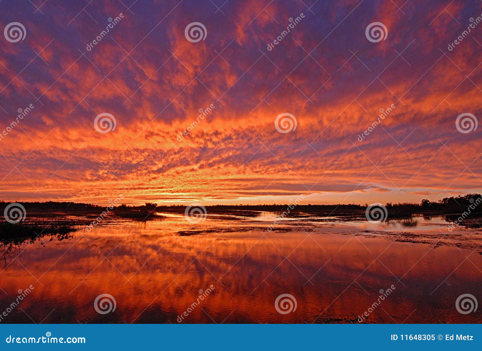 Brilliant Sunset Over Wetland Marsh Royalty Free Stock Photo - Image ...