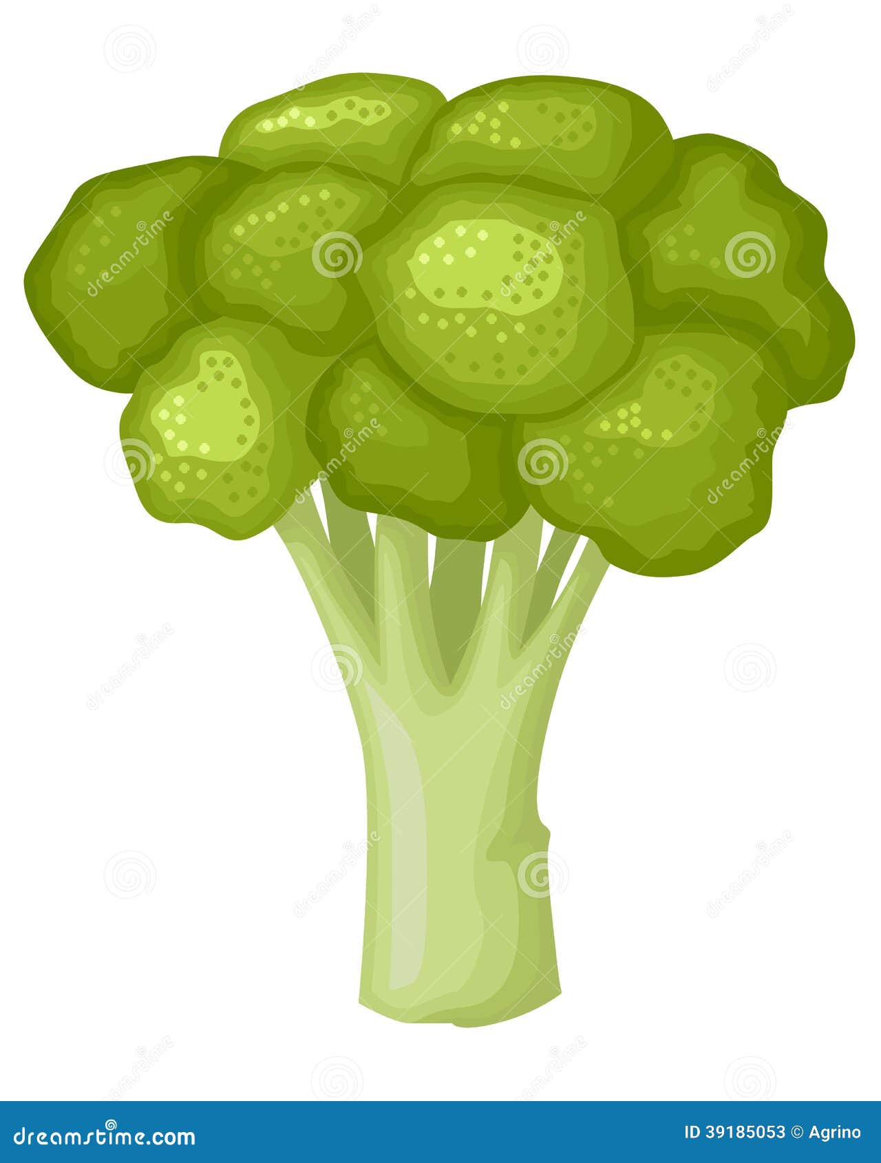 Broccoli Stock Vector - Image: 39185053