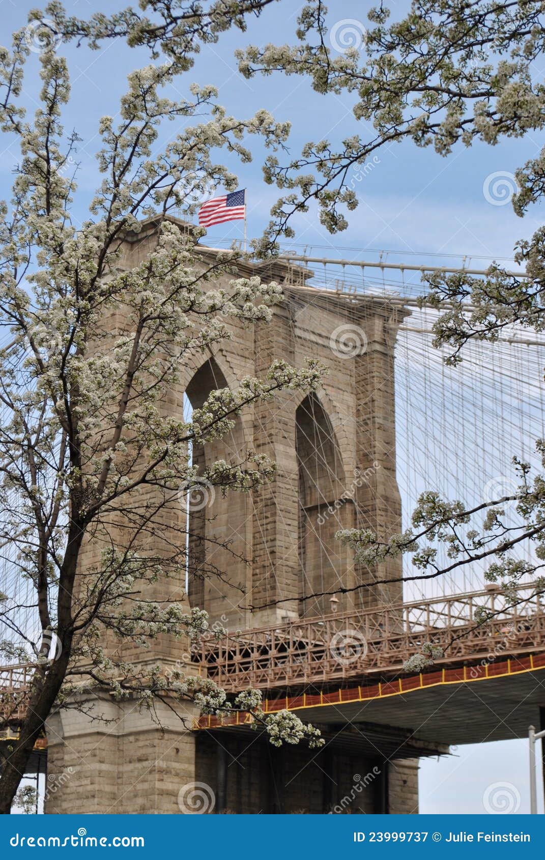 Brooklyn Bridge Spring Royalty Free Stock Photography Image 23999737