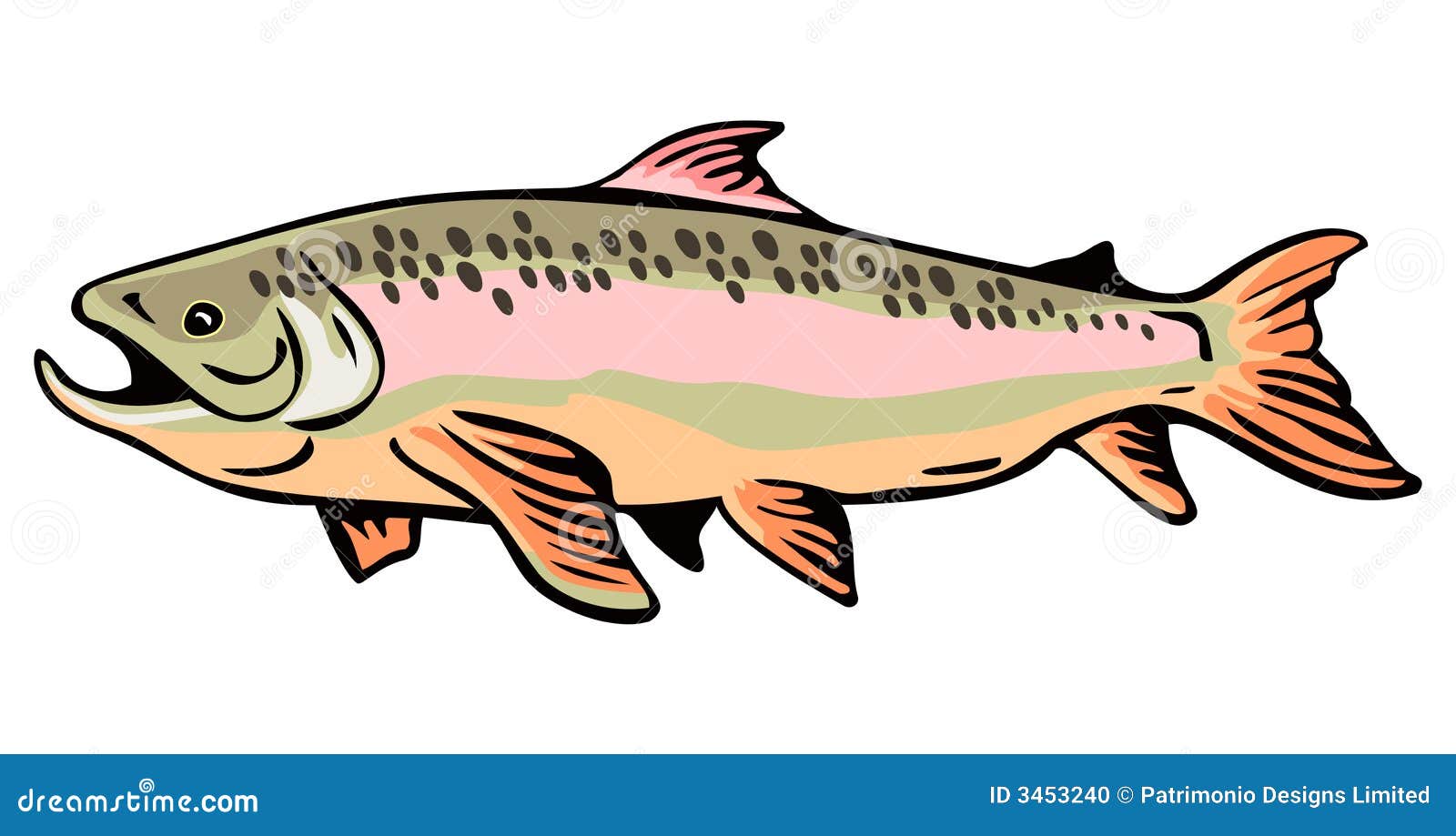 clipart trout fish - photo #37