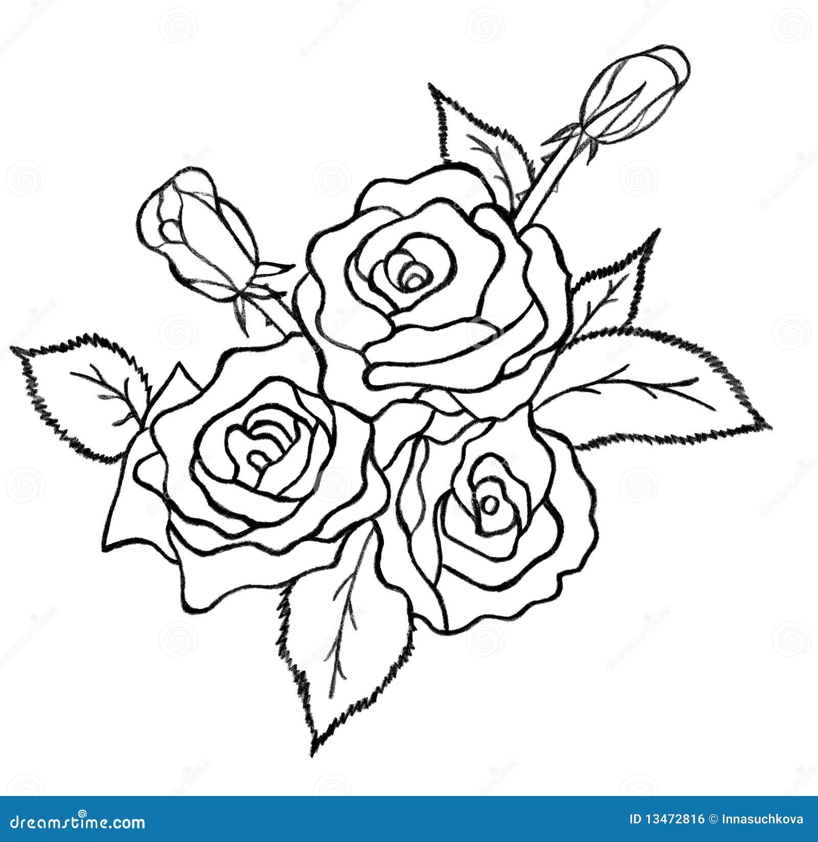 Rose Drawings In Pencil Outline