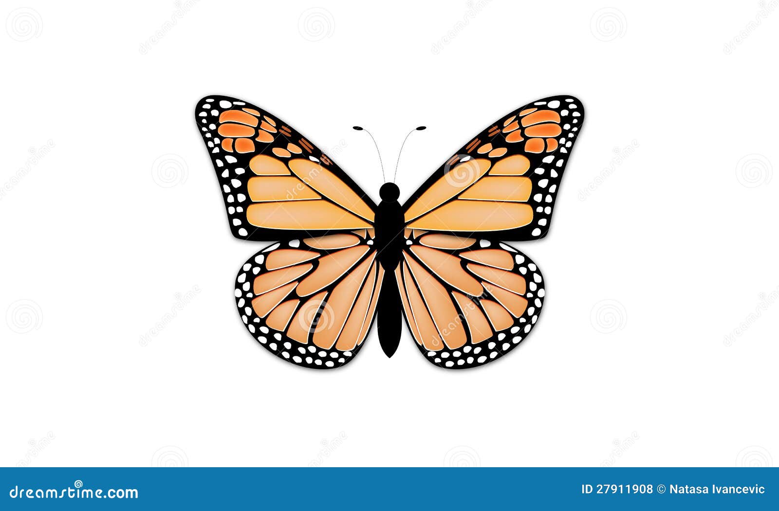  - butterfly-27911908