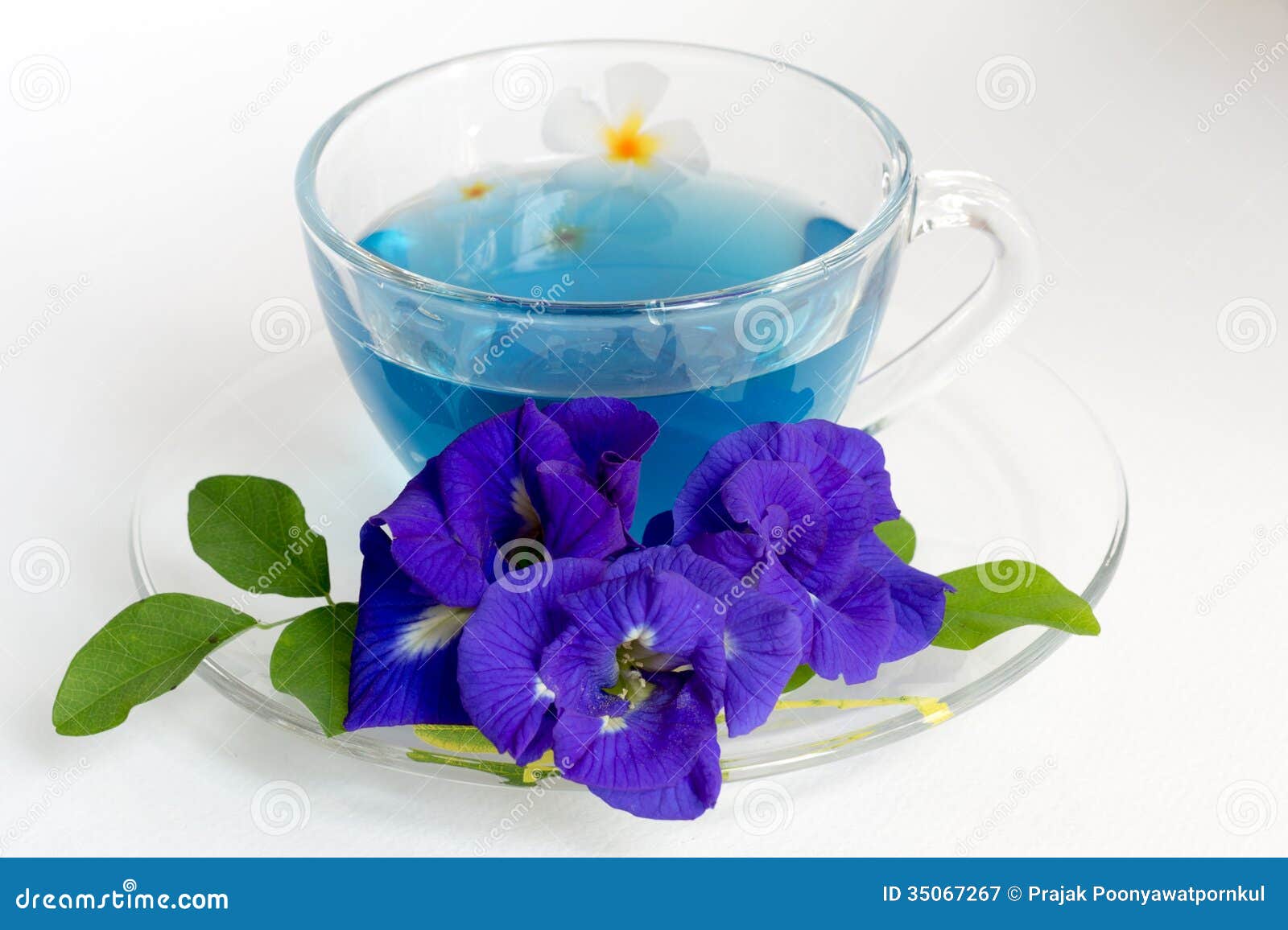 butterfly pea tea синий чай butterfly pea tea синий чай