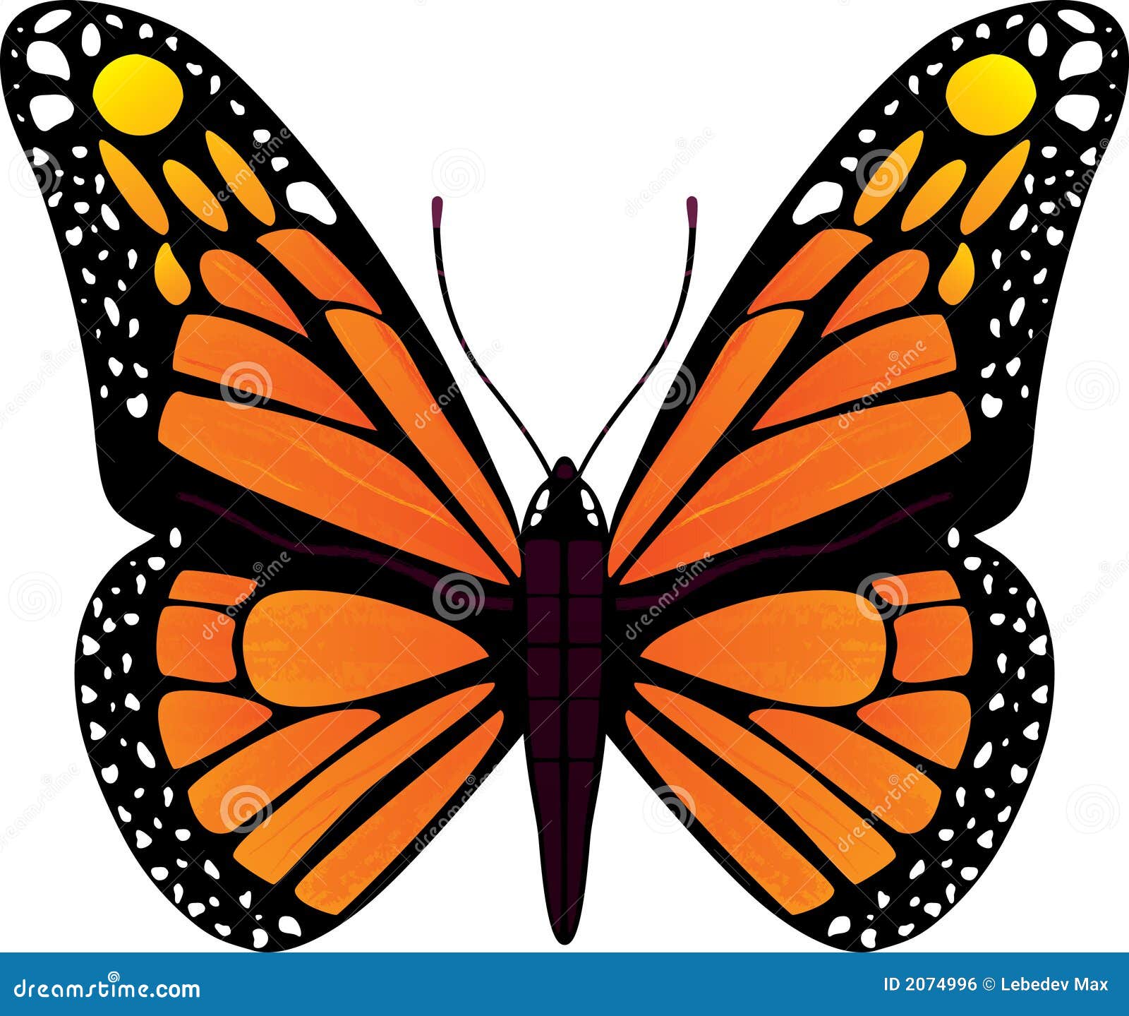 butterfly clipart no background - photo #37