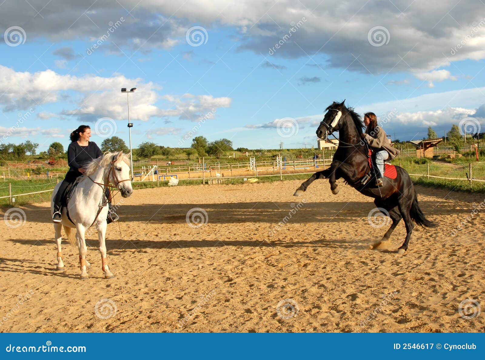 mujeres follando a caballos