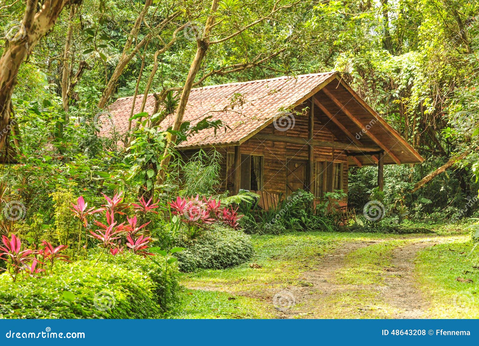 Cabane En Rondins En Bois Dans Une Forêt Tropicale Tropicale Photo ~ Cabane En Rondin De Bois Cabane En Rondins En Bois Dans Une Forêt Tropicale Tropicale Photo ~ Cabane En Rondin De Bois
