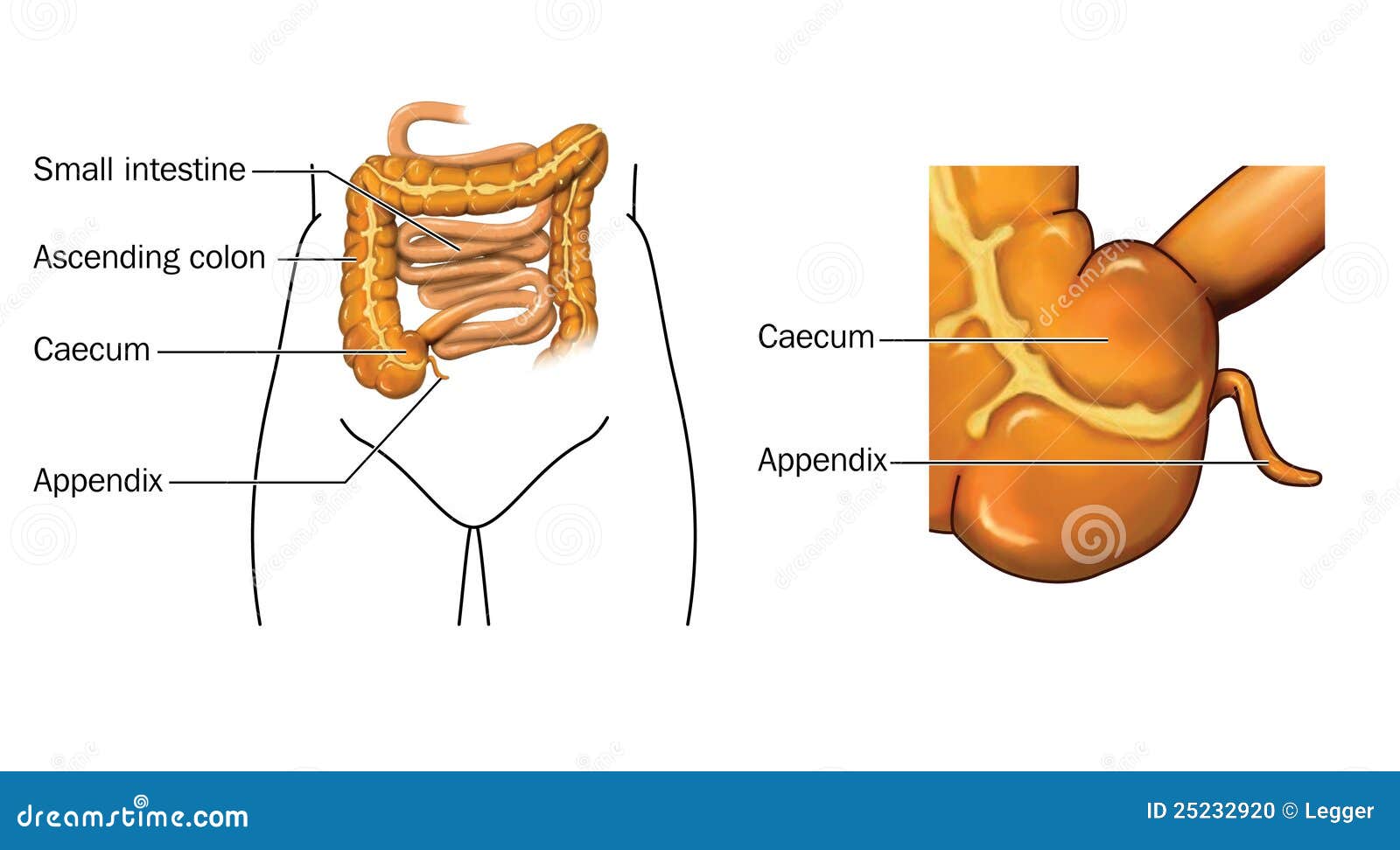 view a systemic treatment of bulimia