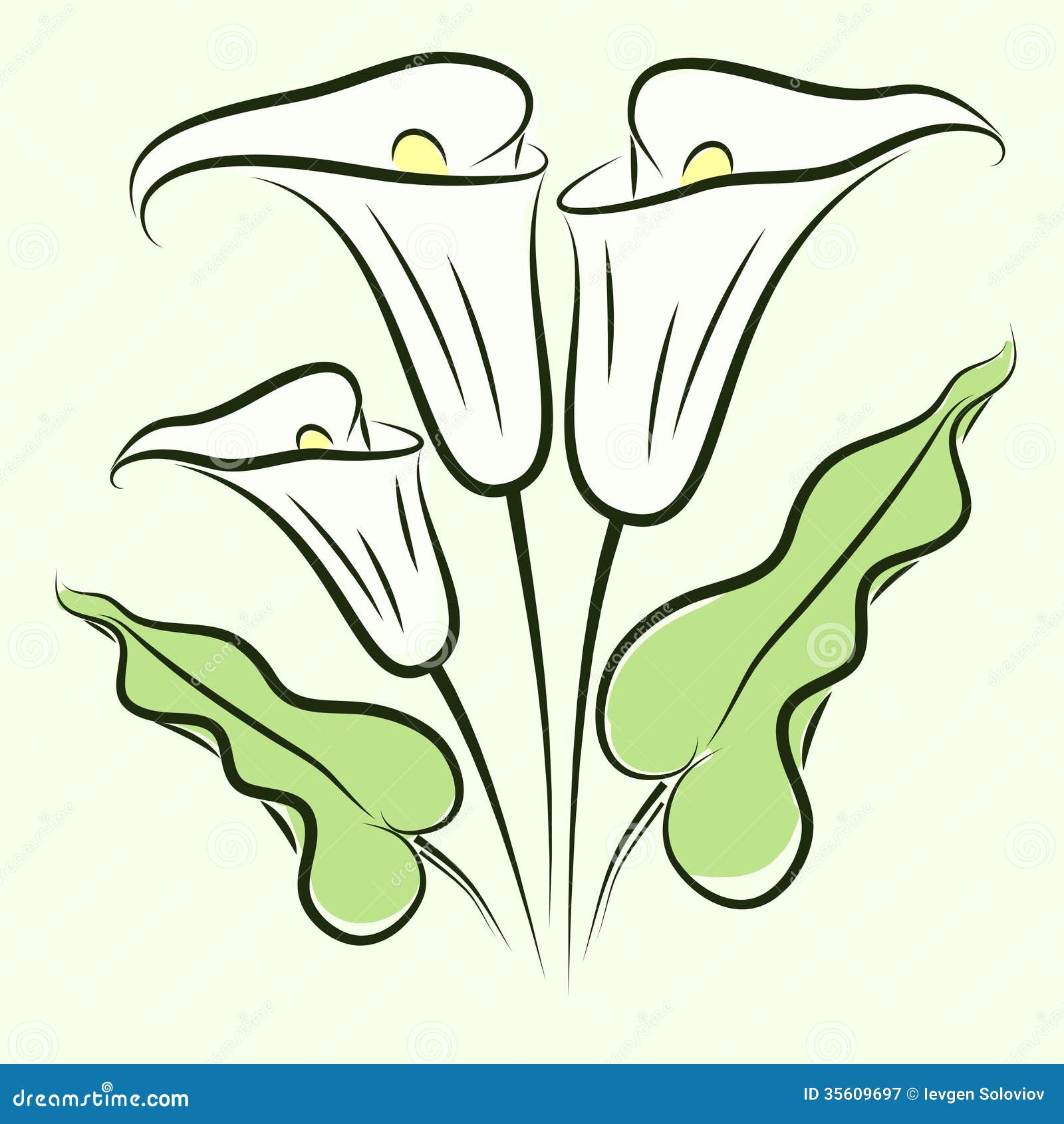 calla lillies coloring pages - photo #32