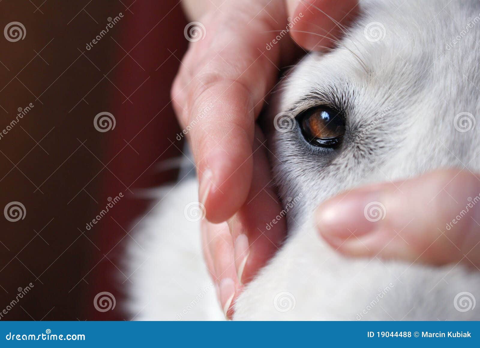 Royalty Free Stock Photos: Calm...