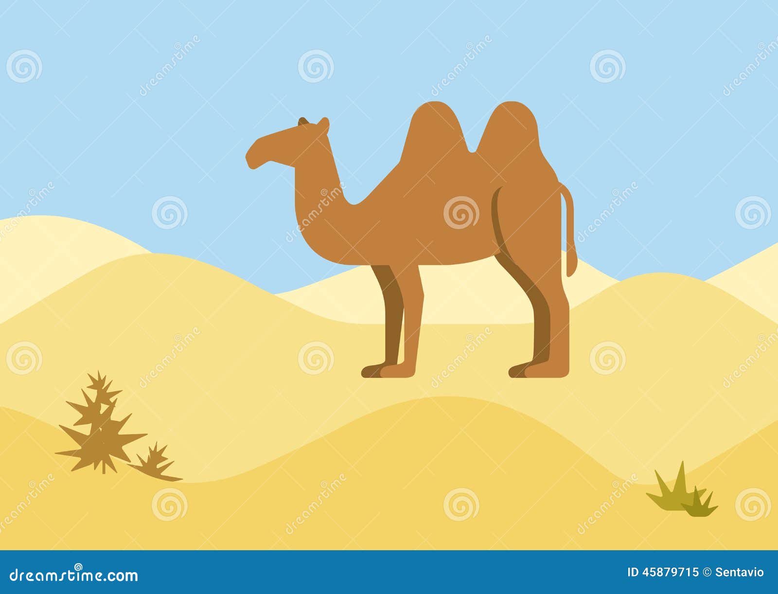 Camel Desert Habitat Flat Design Cartoon Vector Wild Animals Stock