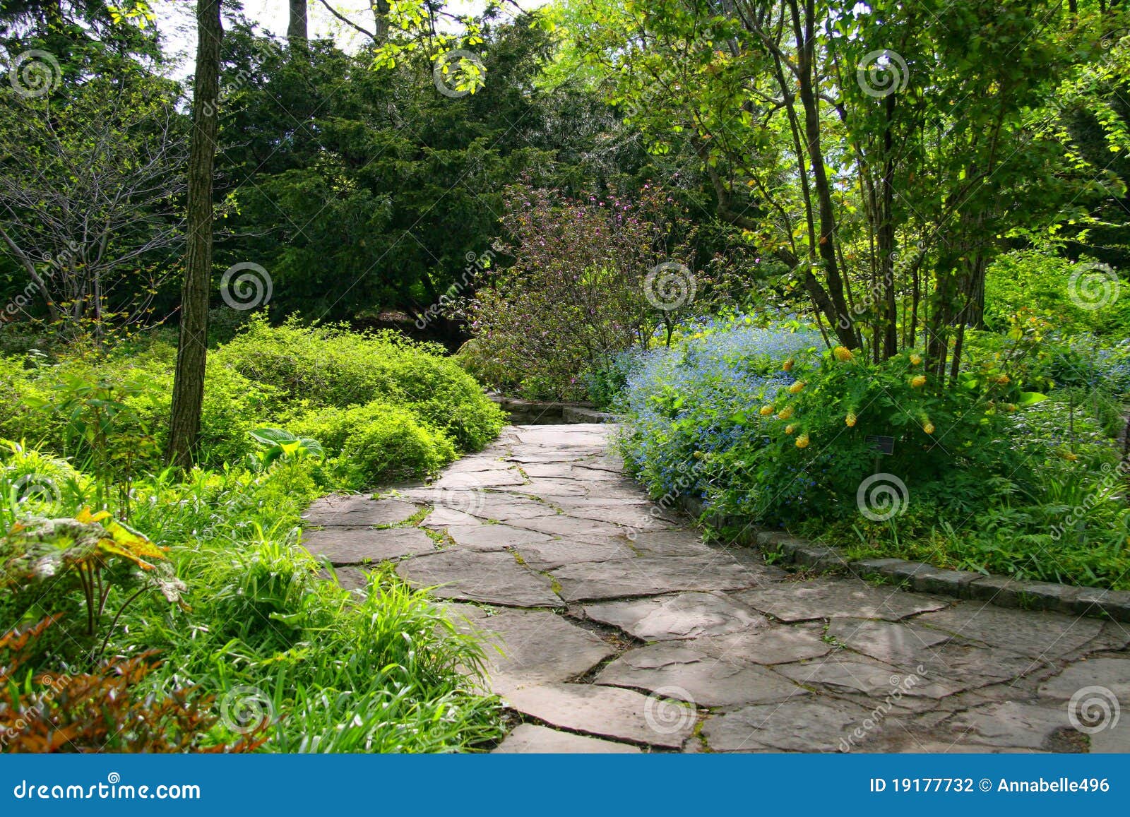 pedra jardim caminho:Stone Pathway Photography pedra jardim caminho:Stone Pathway Photography