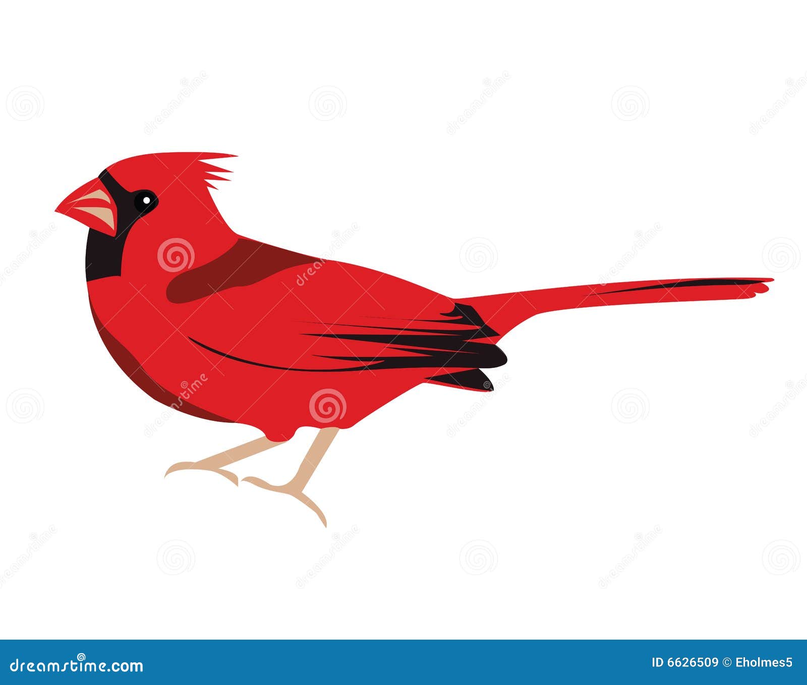 cardinal clipart free - photo #22