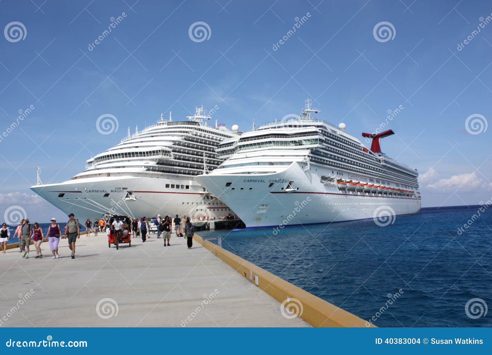 carnival cruise line stockholder credit