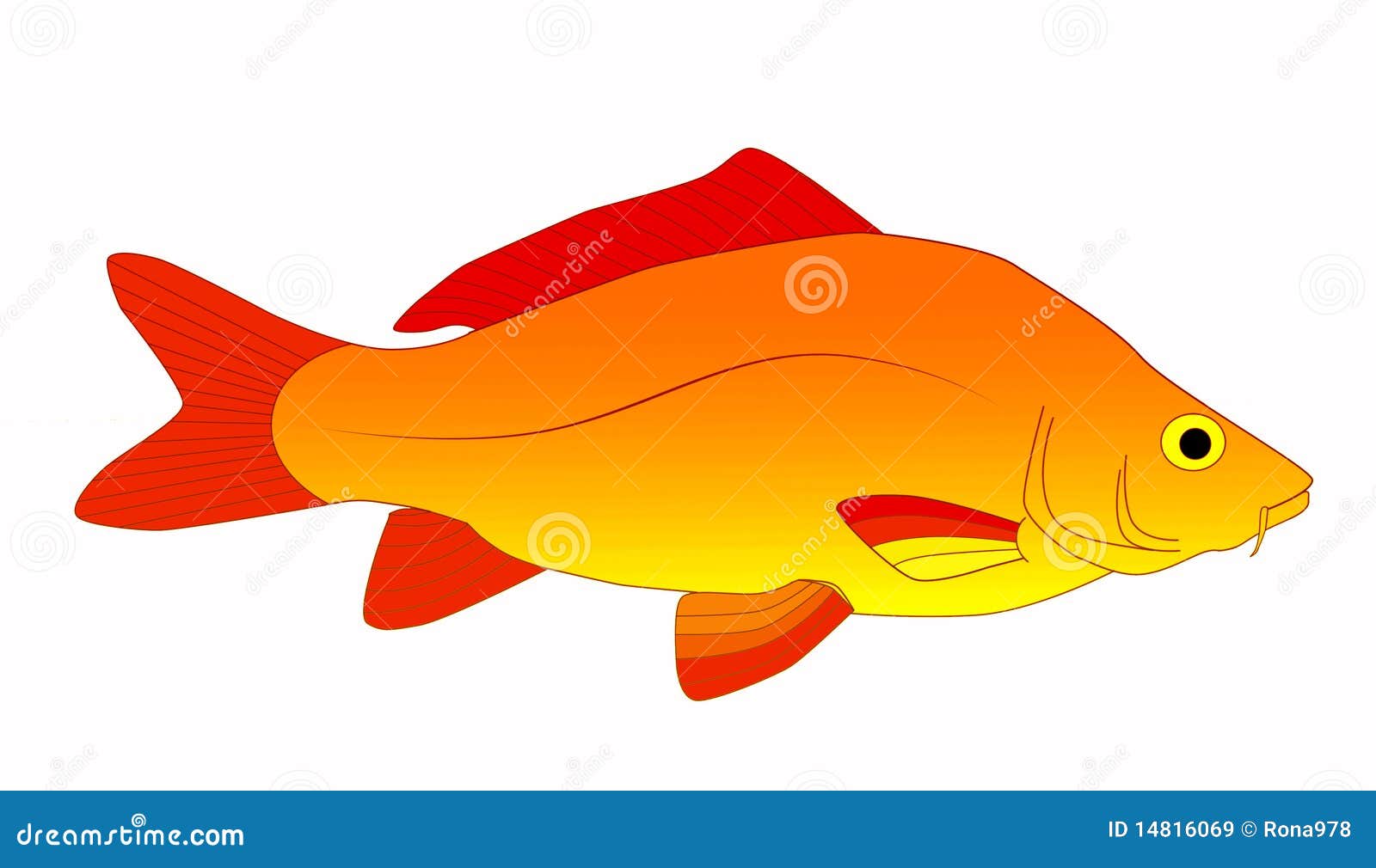 carp fish clip art free - photo #7