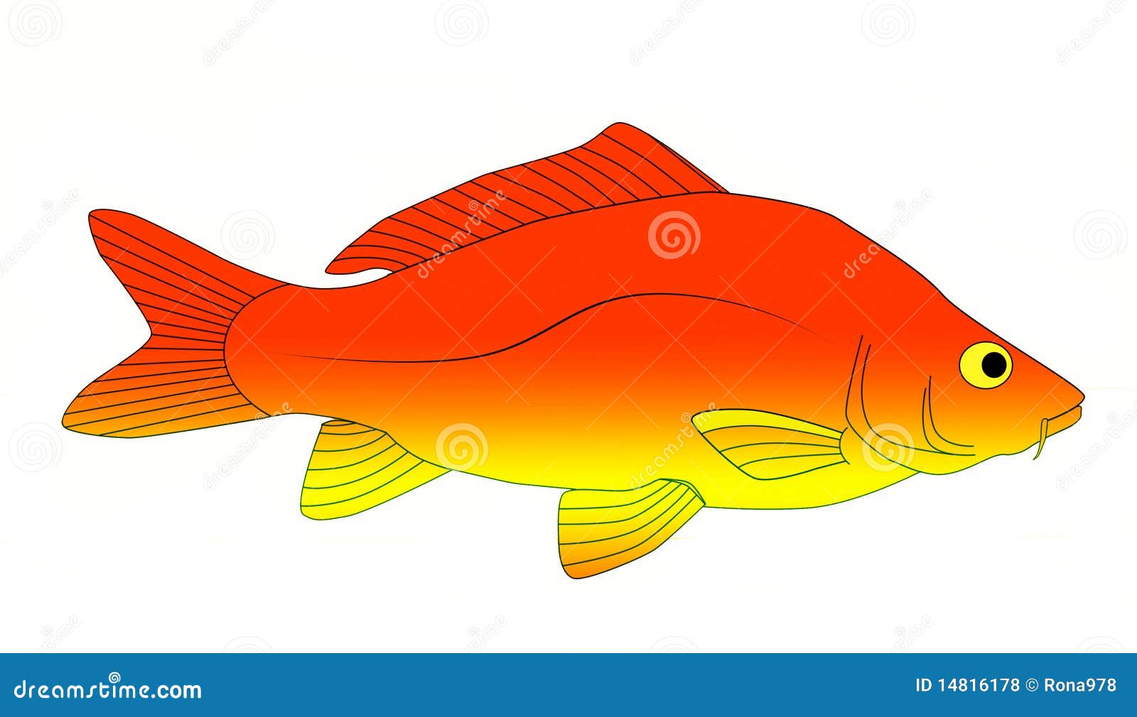 carp fish clip art free - photo #22