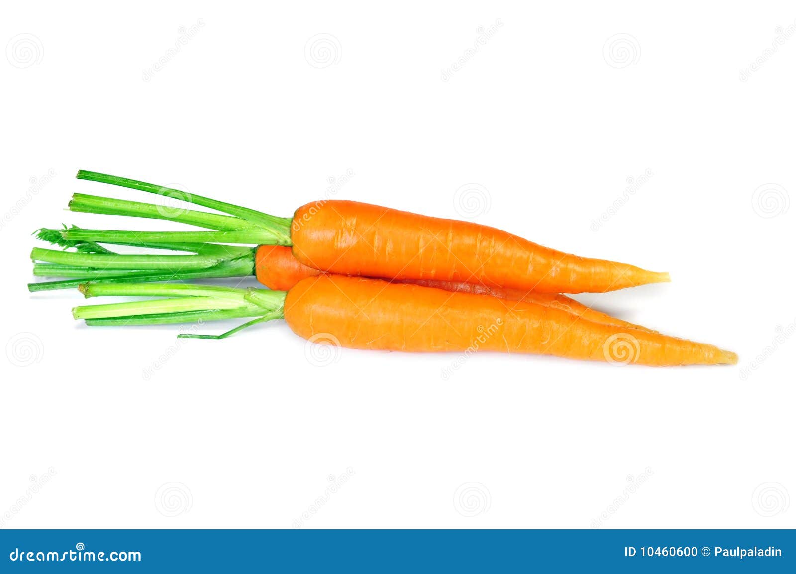 Carrot Group 45