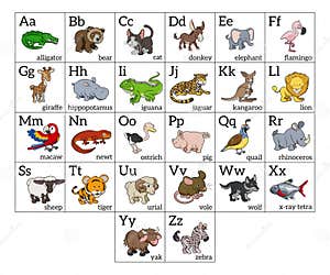Hewan Lucu A To Z Names Of Animals Images
