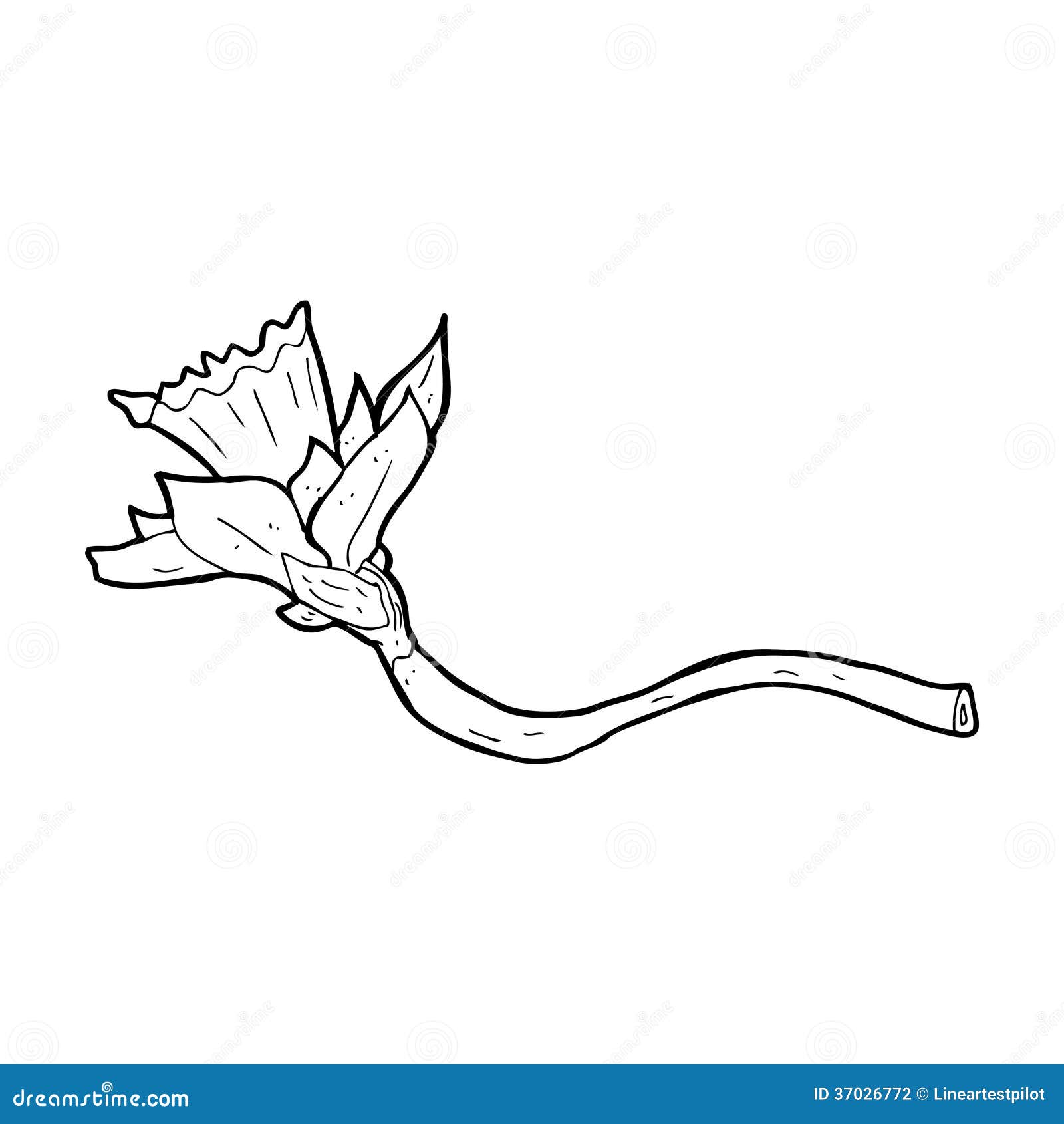 Daffodil Clipart Black And White Daffodil Clipart Black And White