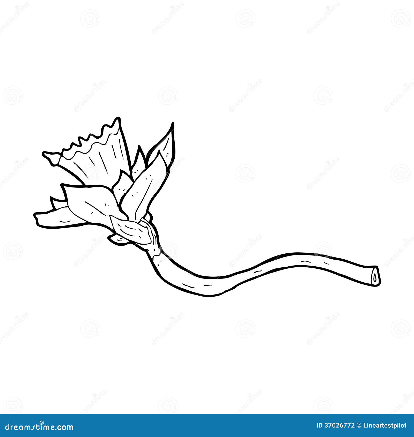 Daffodil Clipart Black And White