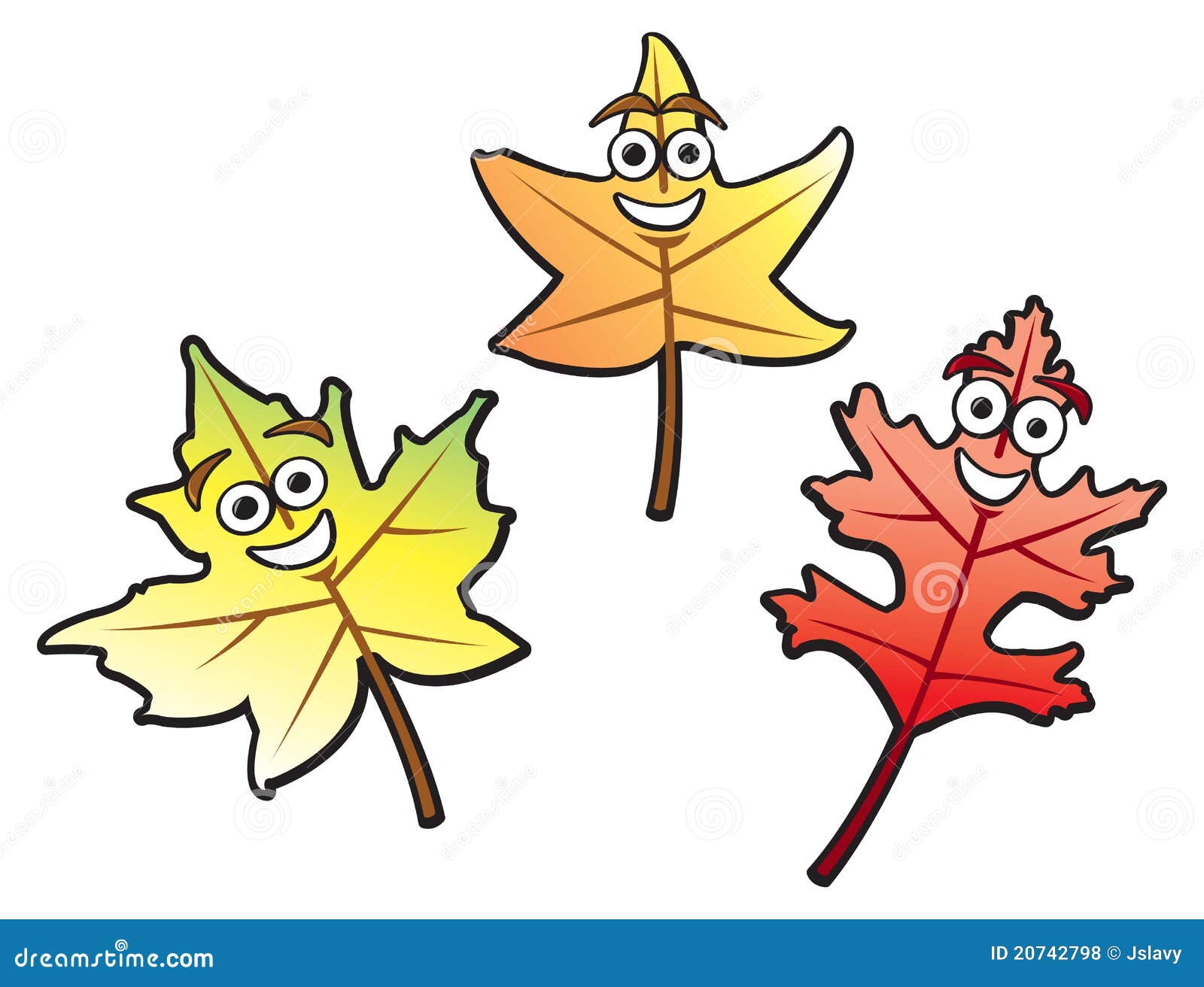 Three autumn leaves of various common types drawn in a fun cartoon 