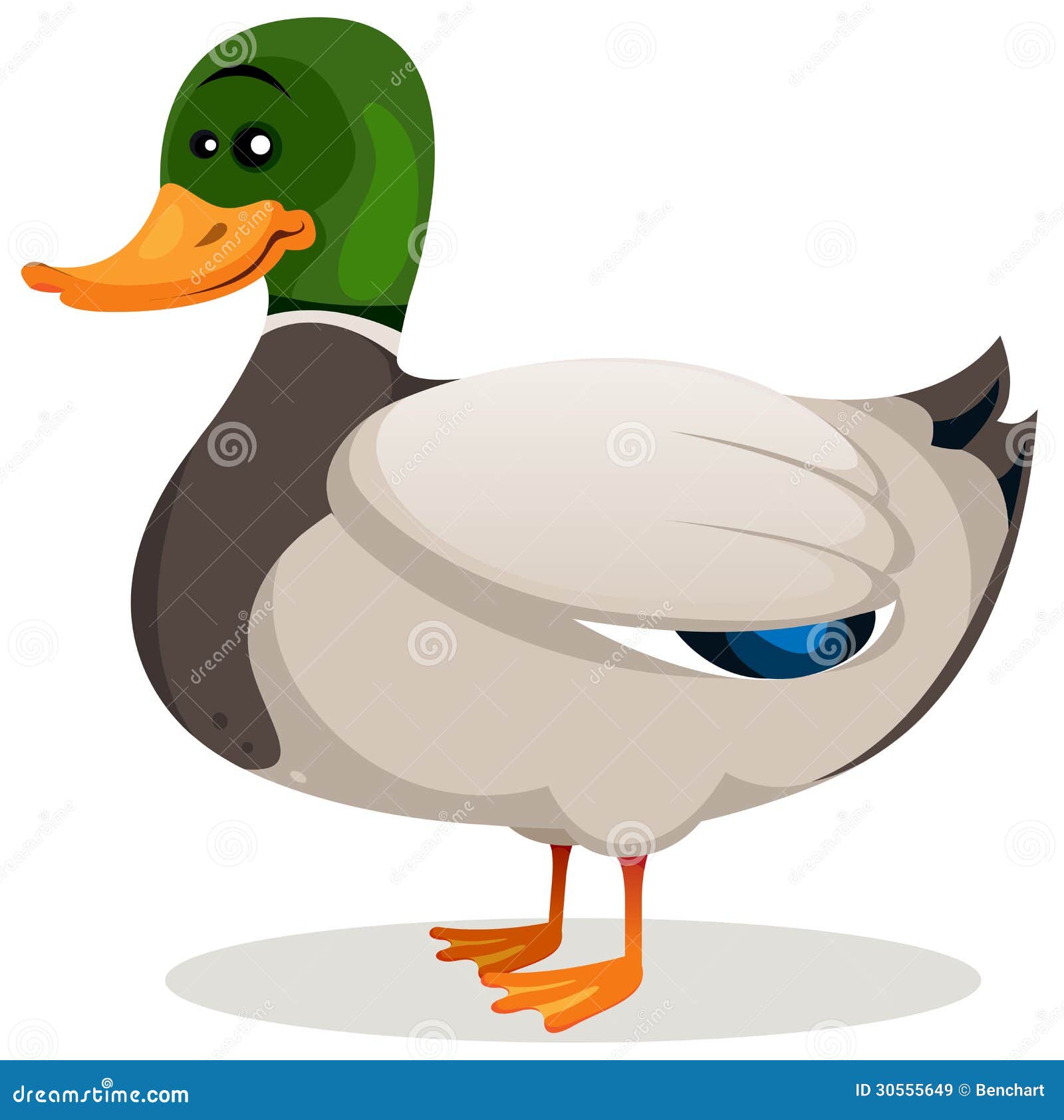 green duck clipart - photo #30
