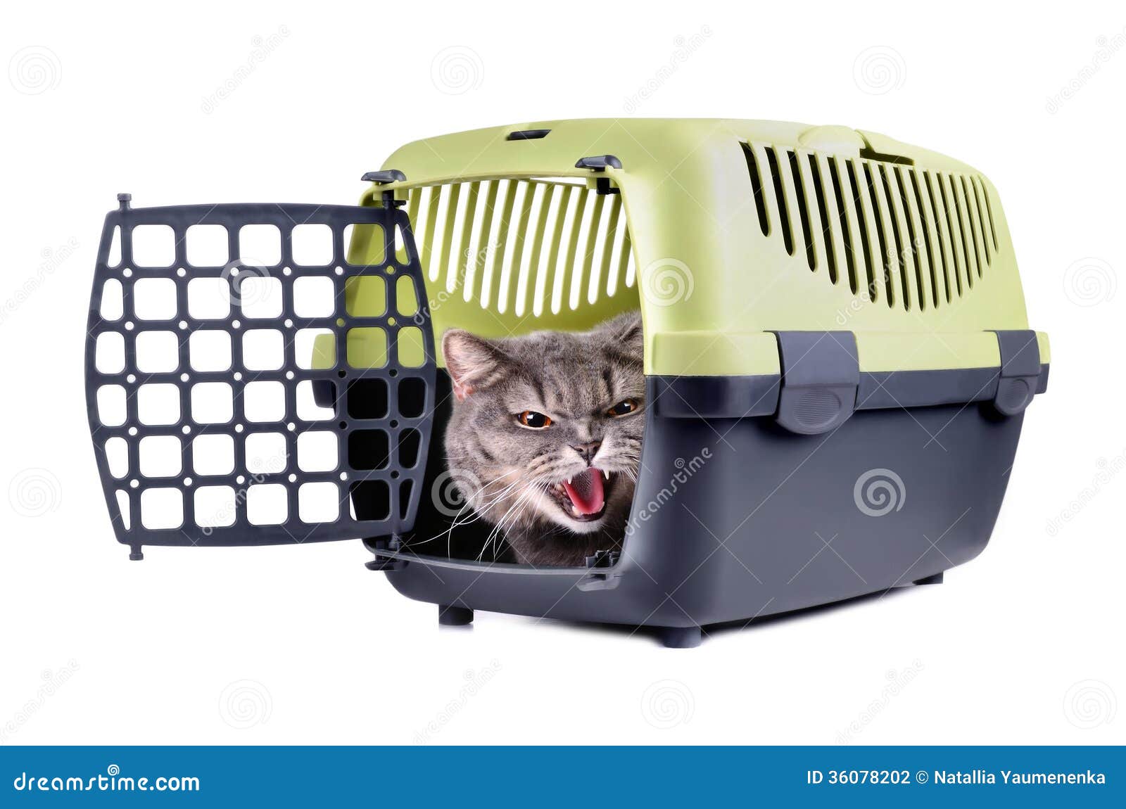 cat carrier clipart - photo #46